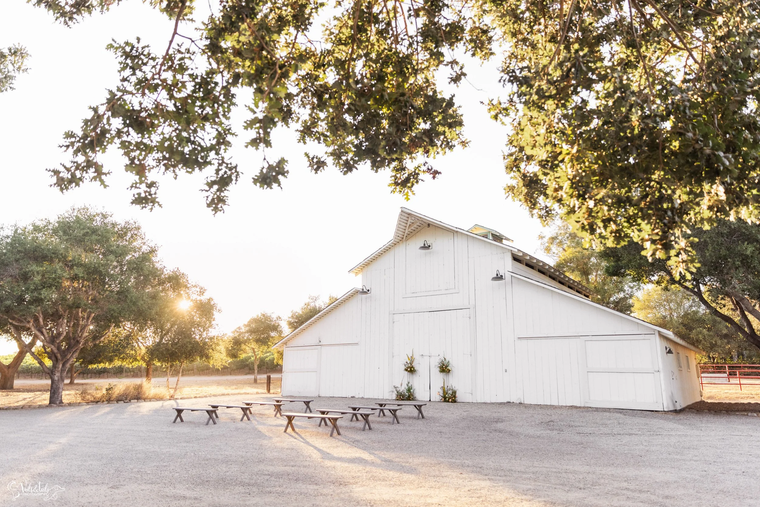 Intimate elopement, Lieff Ranch wedding in Santa Ynez, Veils &amp; Tails Photography