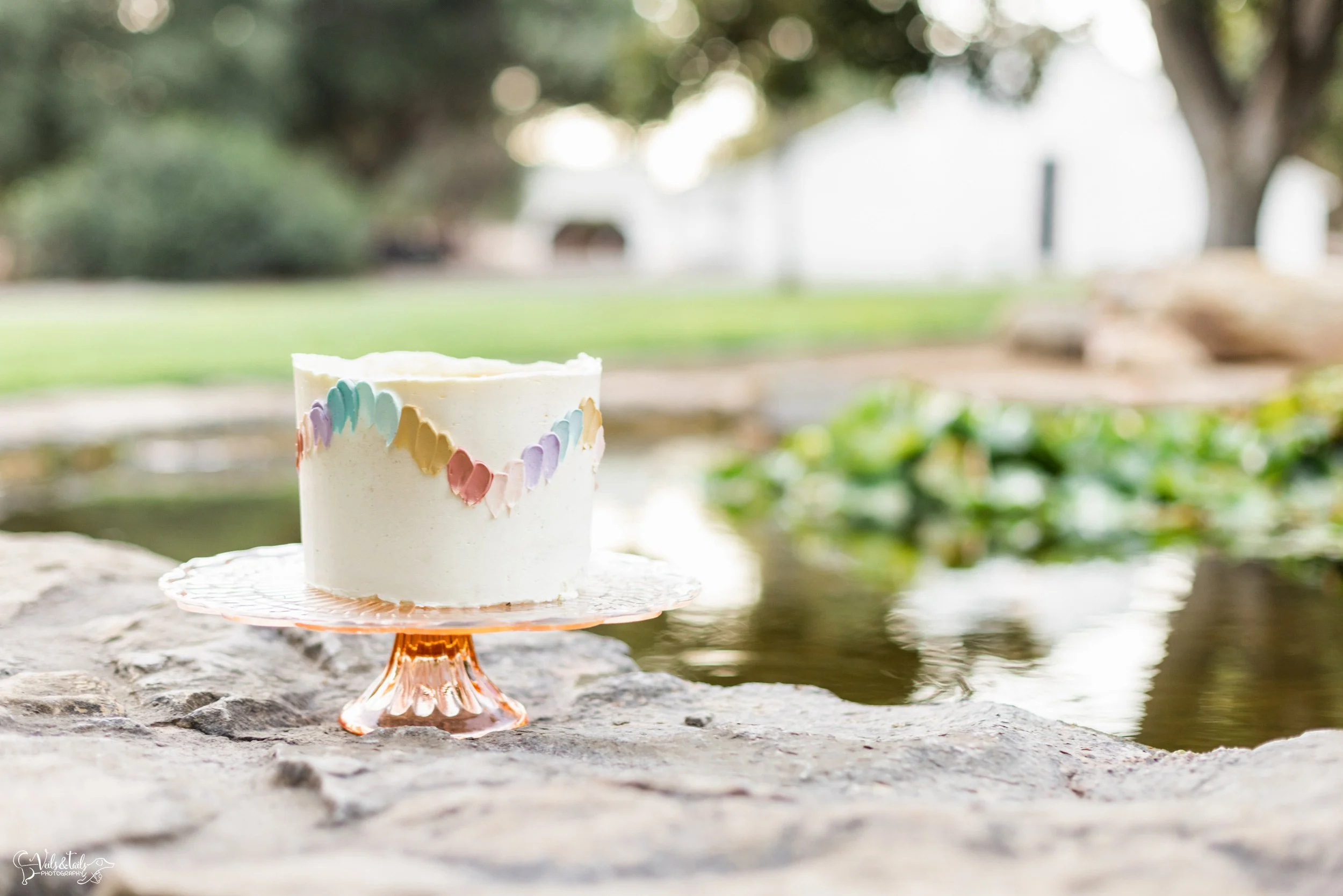 LGBTQ+ wedding photography; colorful wedding cake, Lieff Ranch in Santa Ynez, Veils &amp; Tails Photography