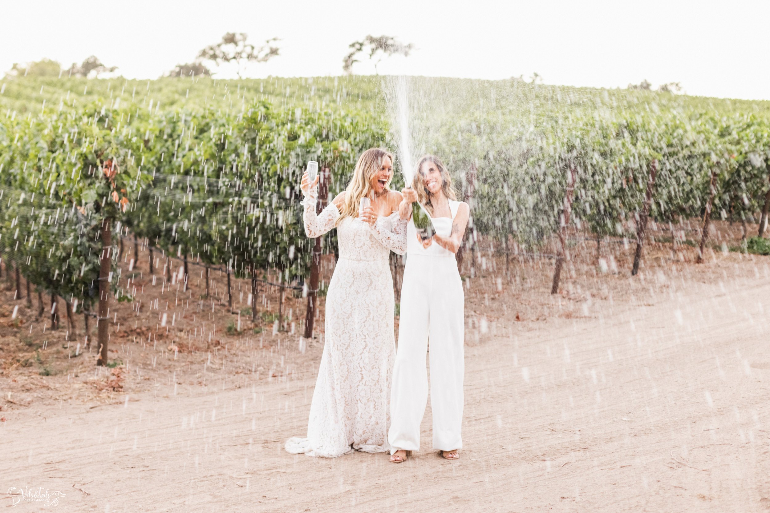 LGBTQ+ wedding photography; champagne pop at Lieff Ranch winery in Santa Ynez, Veils &amp; Tails Photography