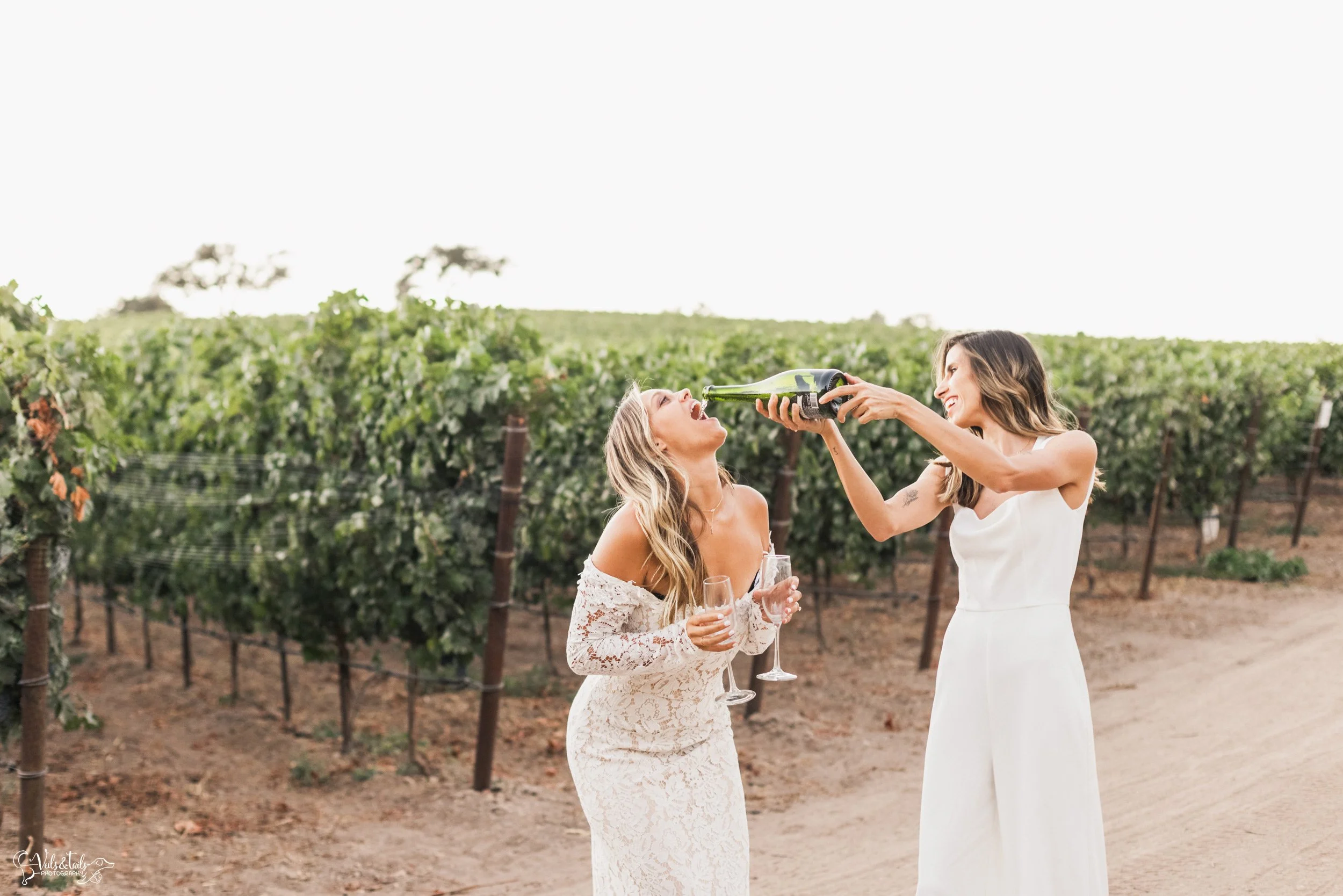 LGBTQ+ elopement photography; champagne pop at Lieff Ranch winery in Santa Ynez, Veils &amp; Tails Photography