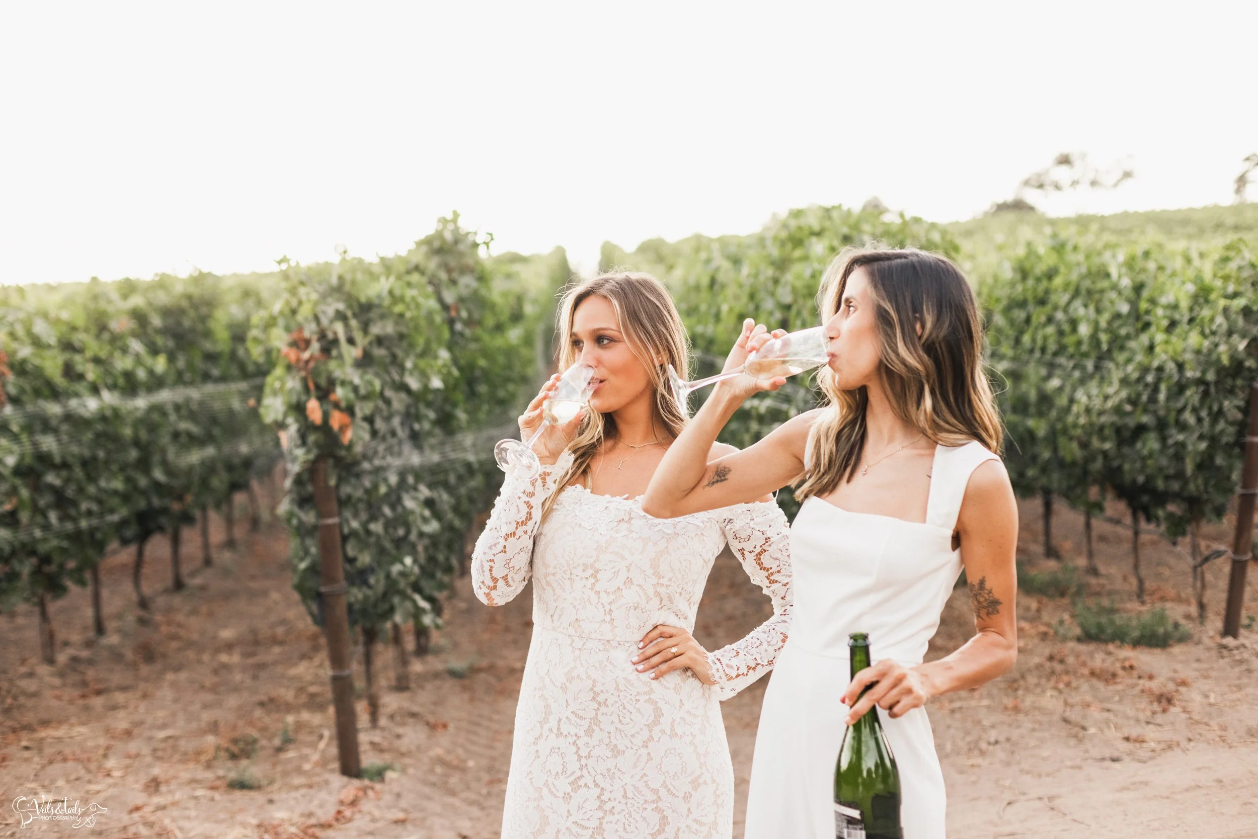 LGBTQ+ elopement photography; champagne pop at Lieff Ranch winery in Santa Ynez, Veils &amp; Tails Photography