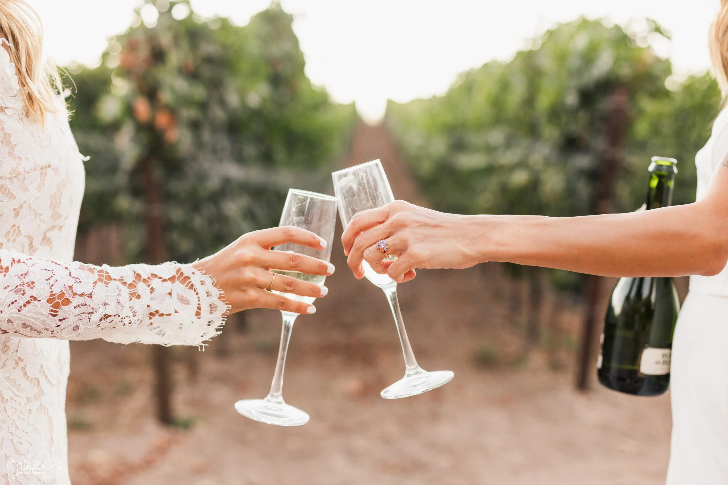 LGBTQ+ elopement photography; champagne pop at Lieff Ranch vineyard in Santa Ynez, Veils &amp; Tails Photography