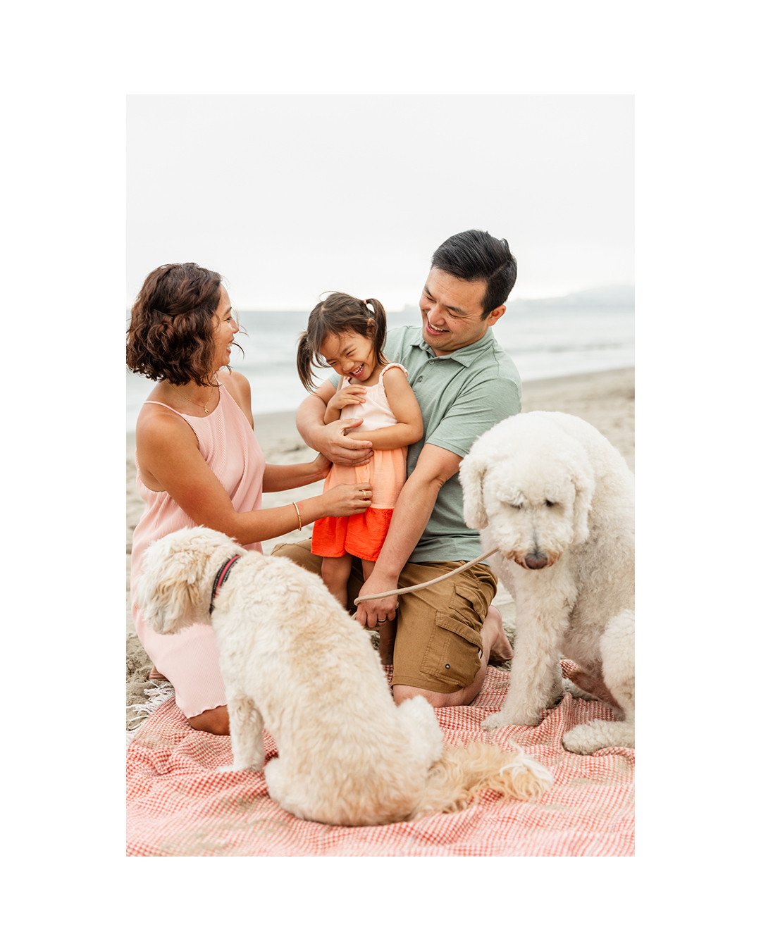 What does childhood feel like? Laughing, flying, running, snuggles with mom and dad, cuddles with the pups... hopefully it feels something like this. And if life still feels this way when you're grown, you're doing something right!