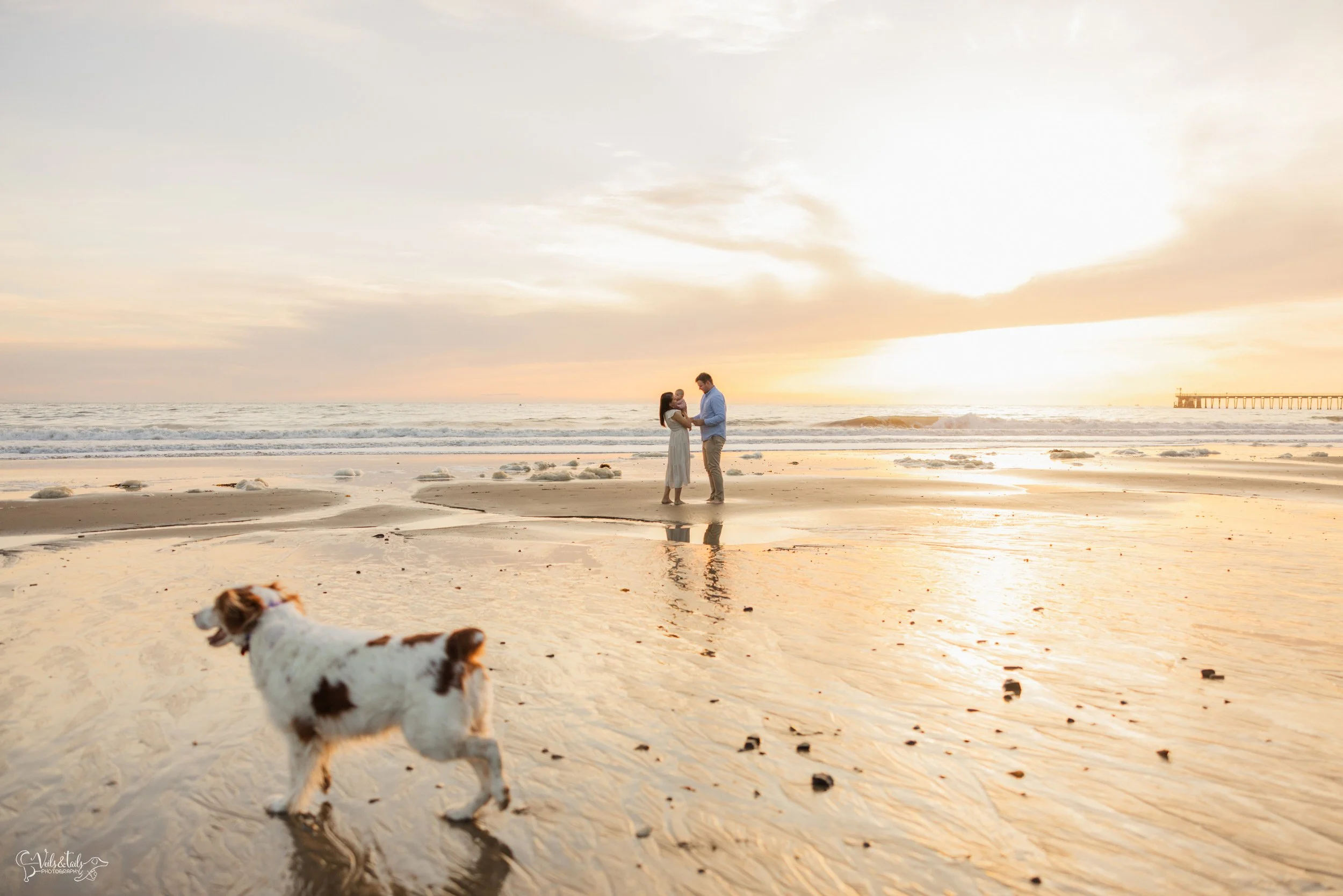 beach family session in Santa Barbara, Veils &amp; Tails Photography