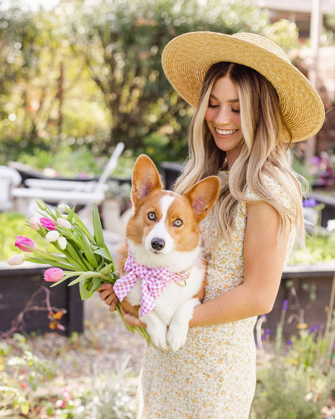 Need a mood boost? Here are some positively springy vibes for you to take as you please! With chic corgi looks by @thefoggydog