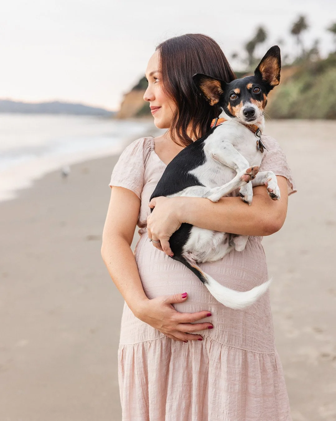 When baby's got a built in best friend and protector from the start. 🐾⁠
⁠
@beks47