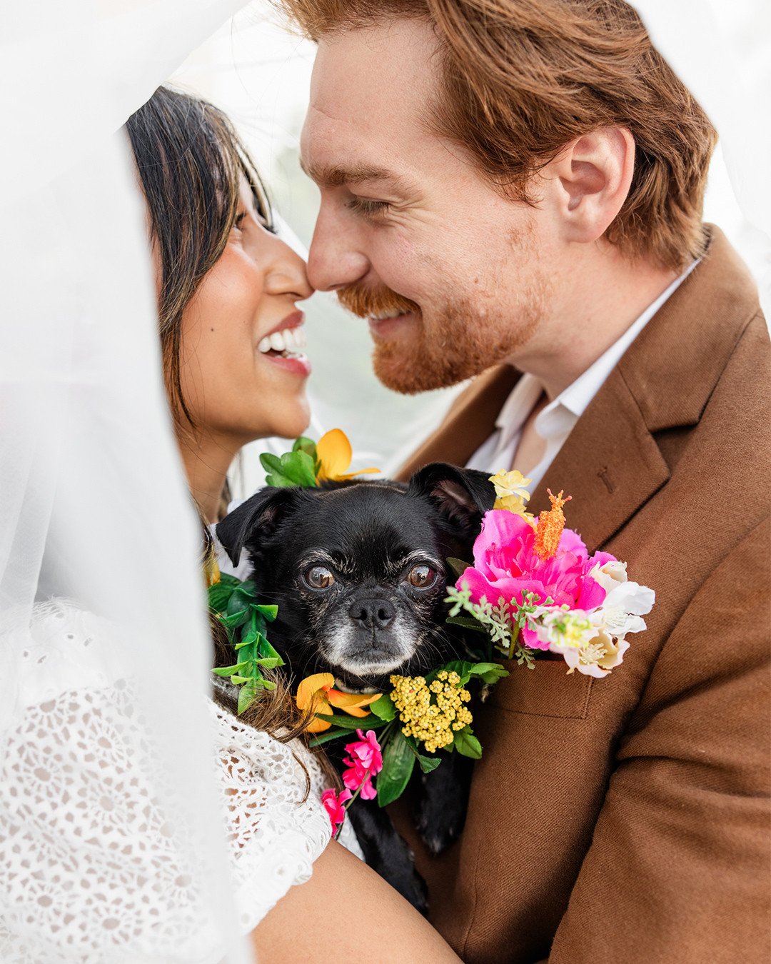 Okay you've all seen the wedding couple in the veil shot, but have you seen the puppy in the veil shot?? Not all pups can fit inside this cuddle sitch, but this little dudette fit perfectly.⁠
⁠
@casey.and.the.sunshine