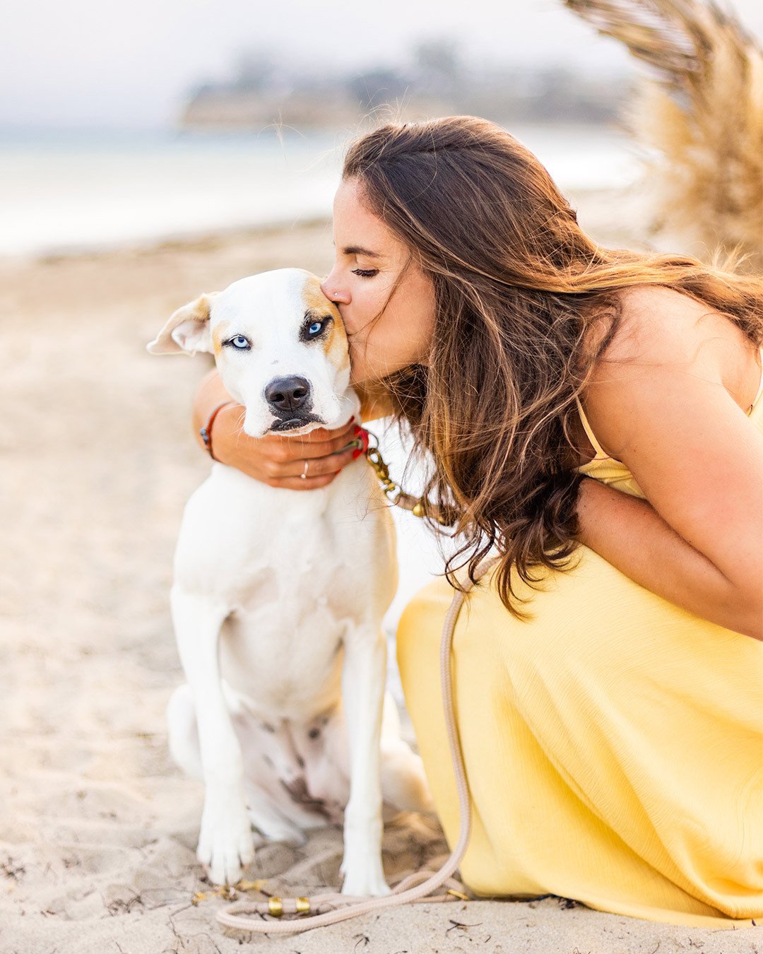 Some sweet blue eyes and a yellow dress only @erinmwinslow and Andie Anderson could do justice to, for fending off those May grays.⁠
⁠
Also, still in awe of this palm frond artistry from @breannajanebotanicals!