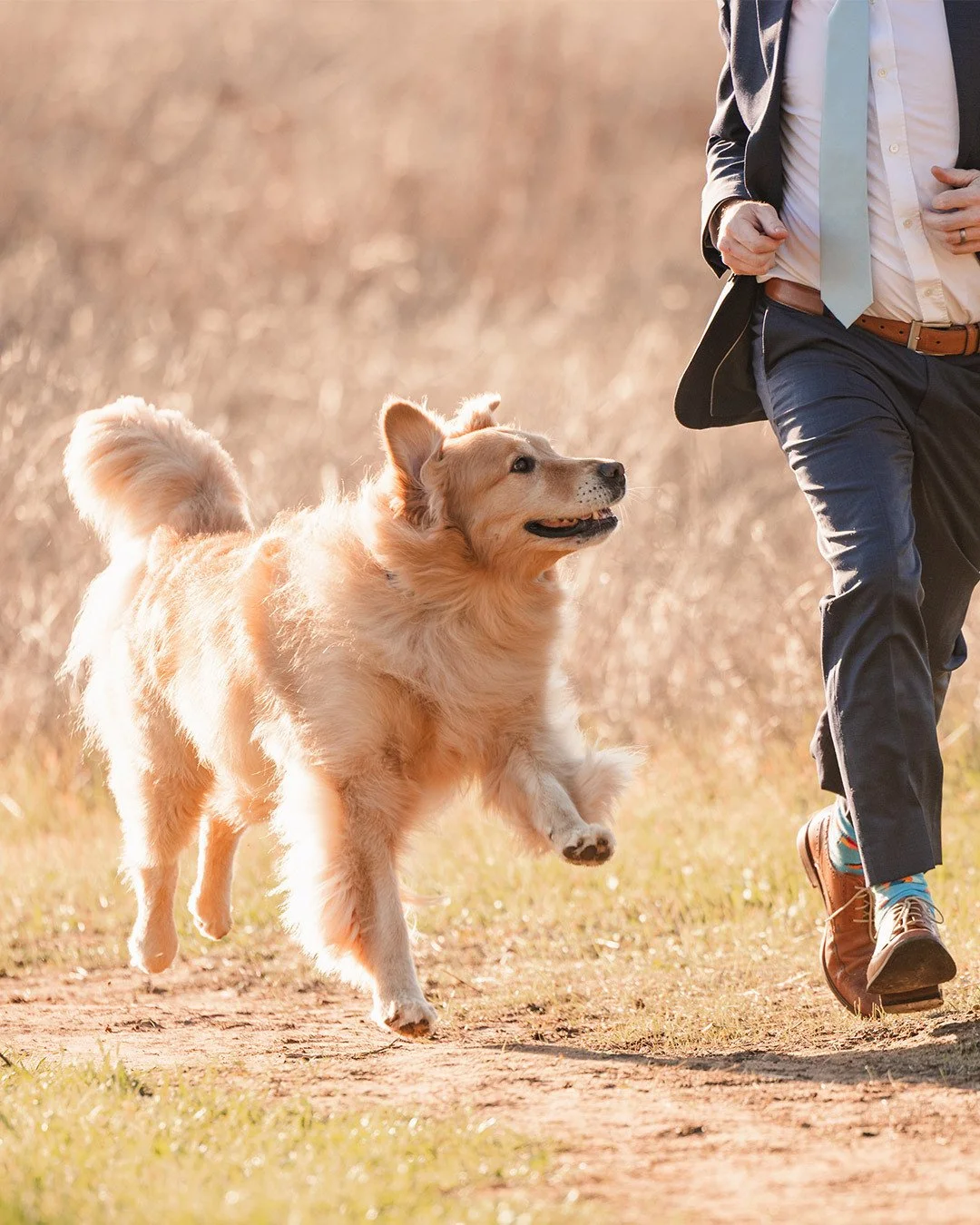 "Has been ever since the dawn of time... when a few wild dogs took it upon themselves to watch over man, to bark when he's in danger, to run and play with him when he's happy, to nuzzle him when he's lonely.⁠
⁠
That's why they call us man's best