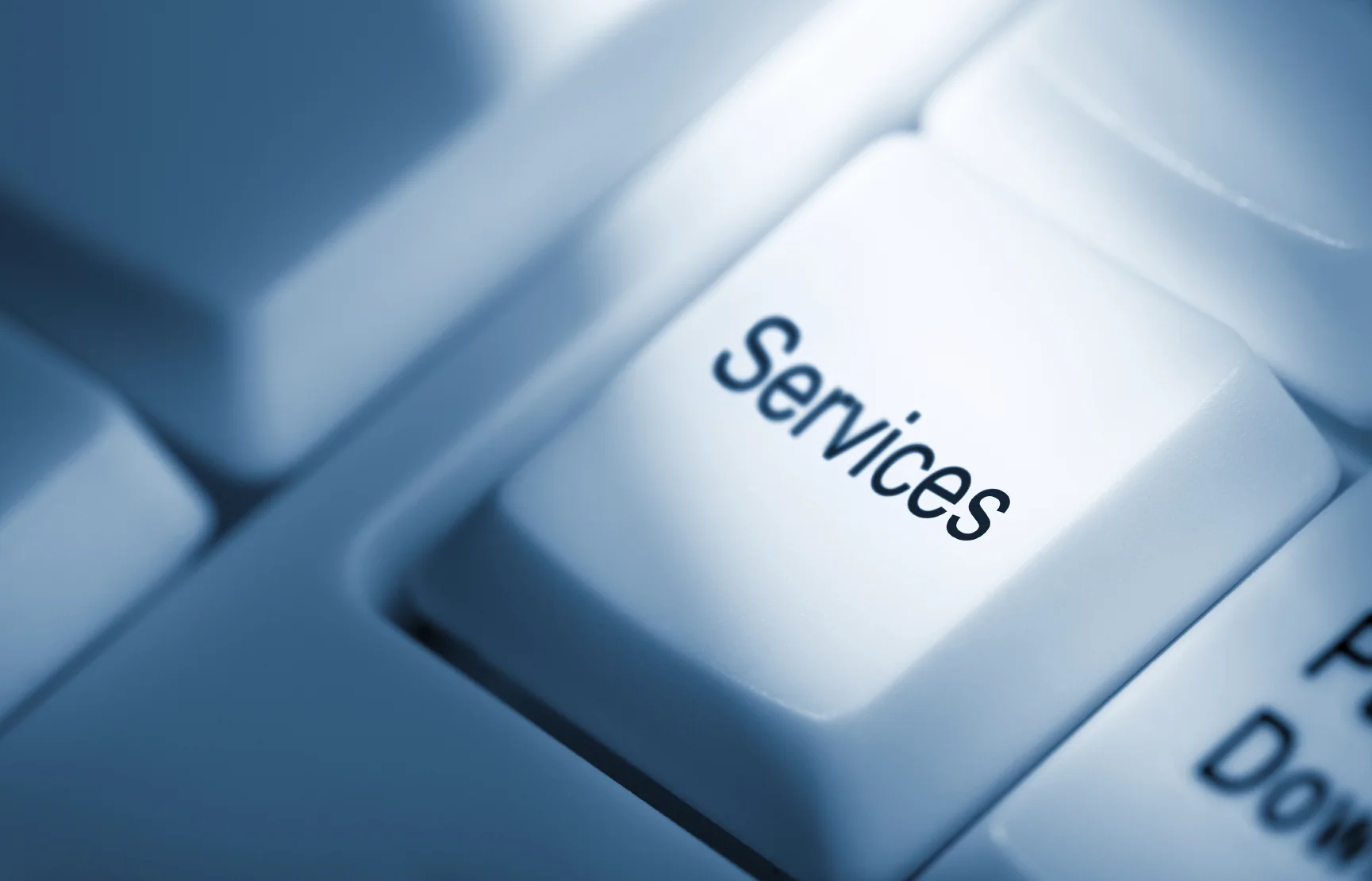 iStock_000014887823Medium.jpg