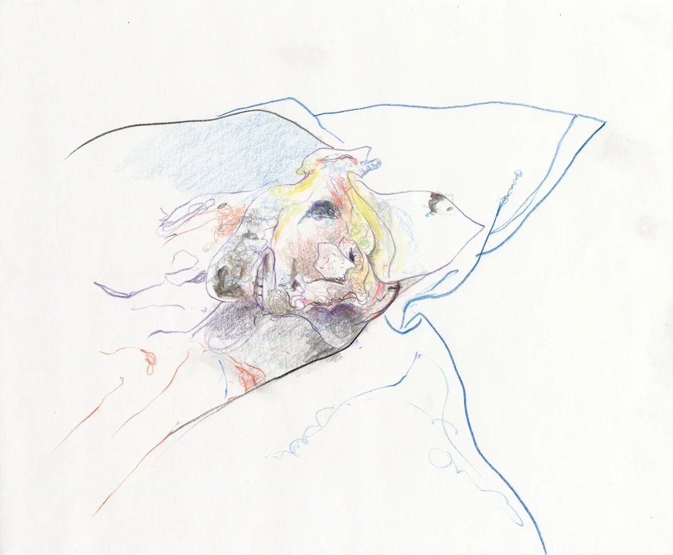 Disection 02.jpg