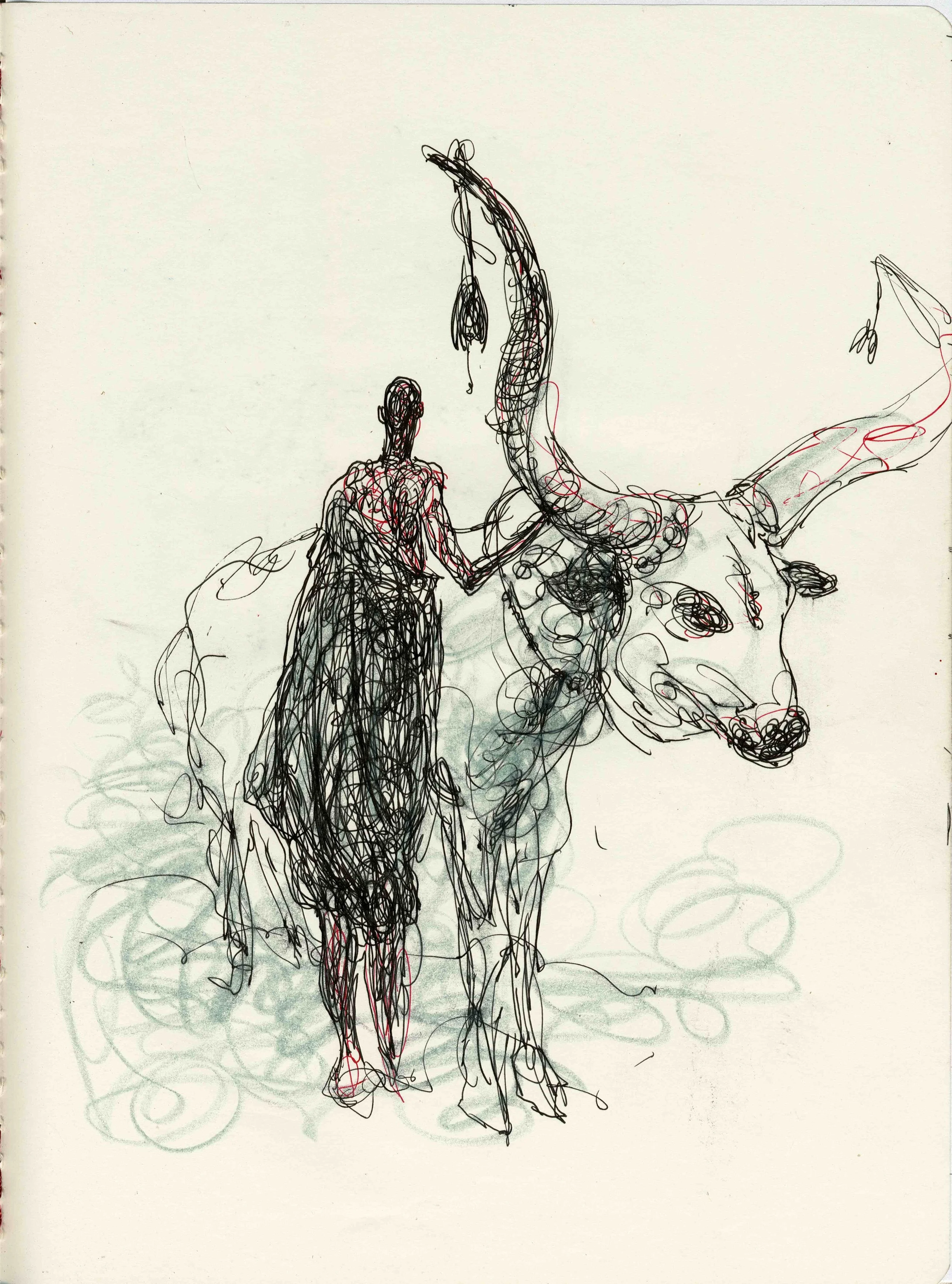 Maasai and ox.jpg