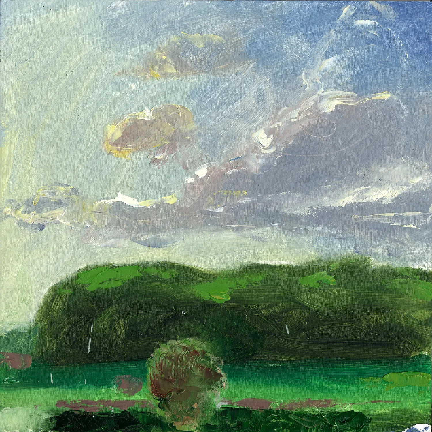 New Landscape 06.jpg