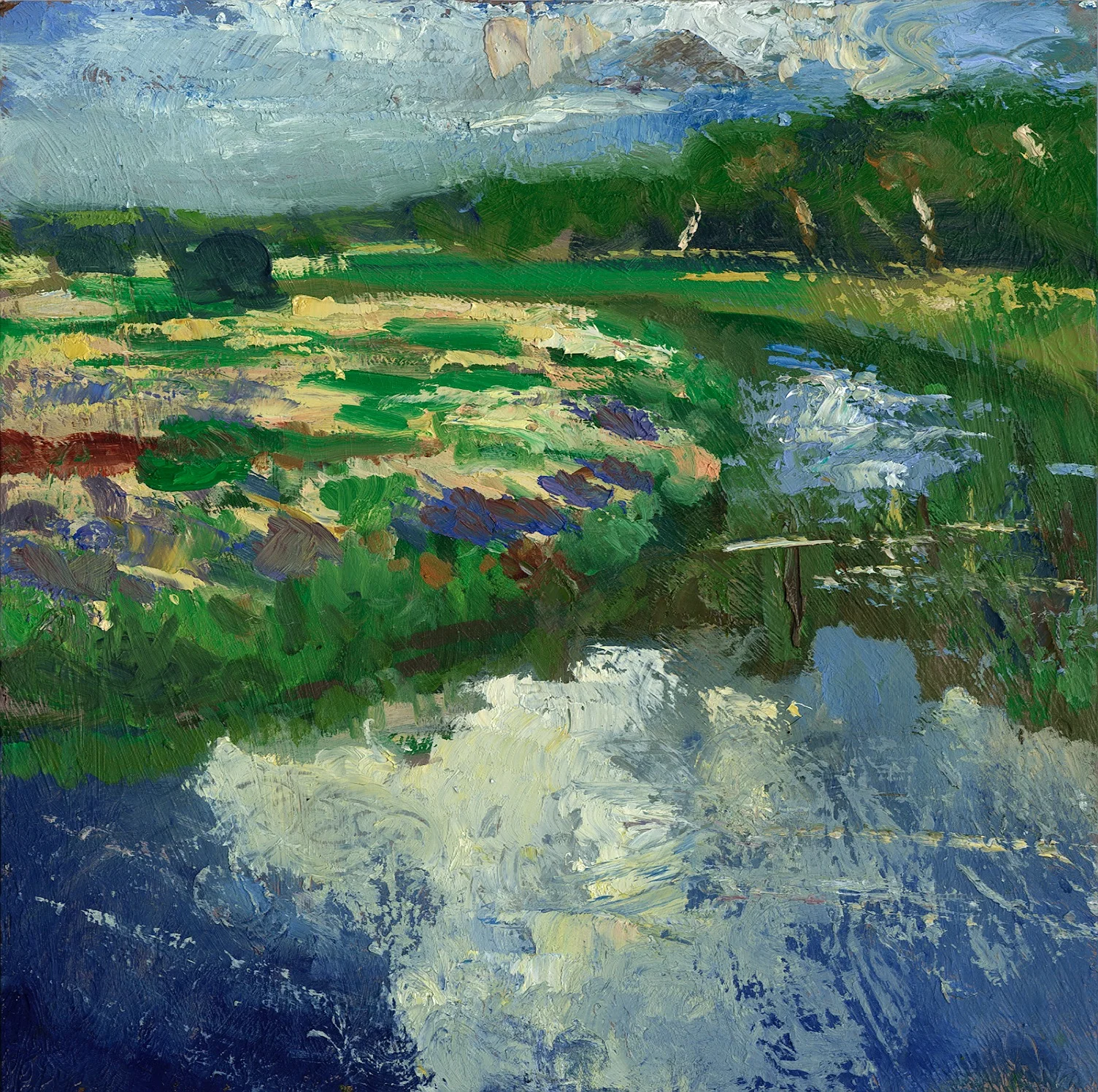 New Landscape 012.jpg