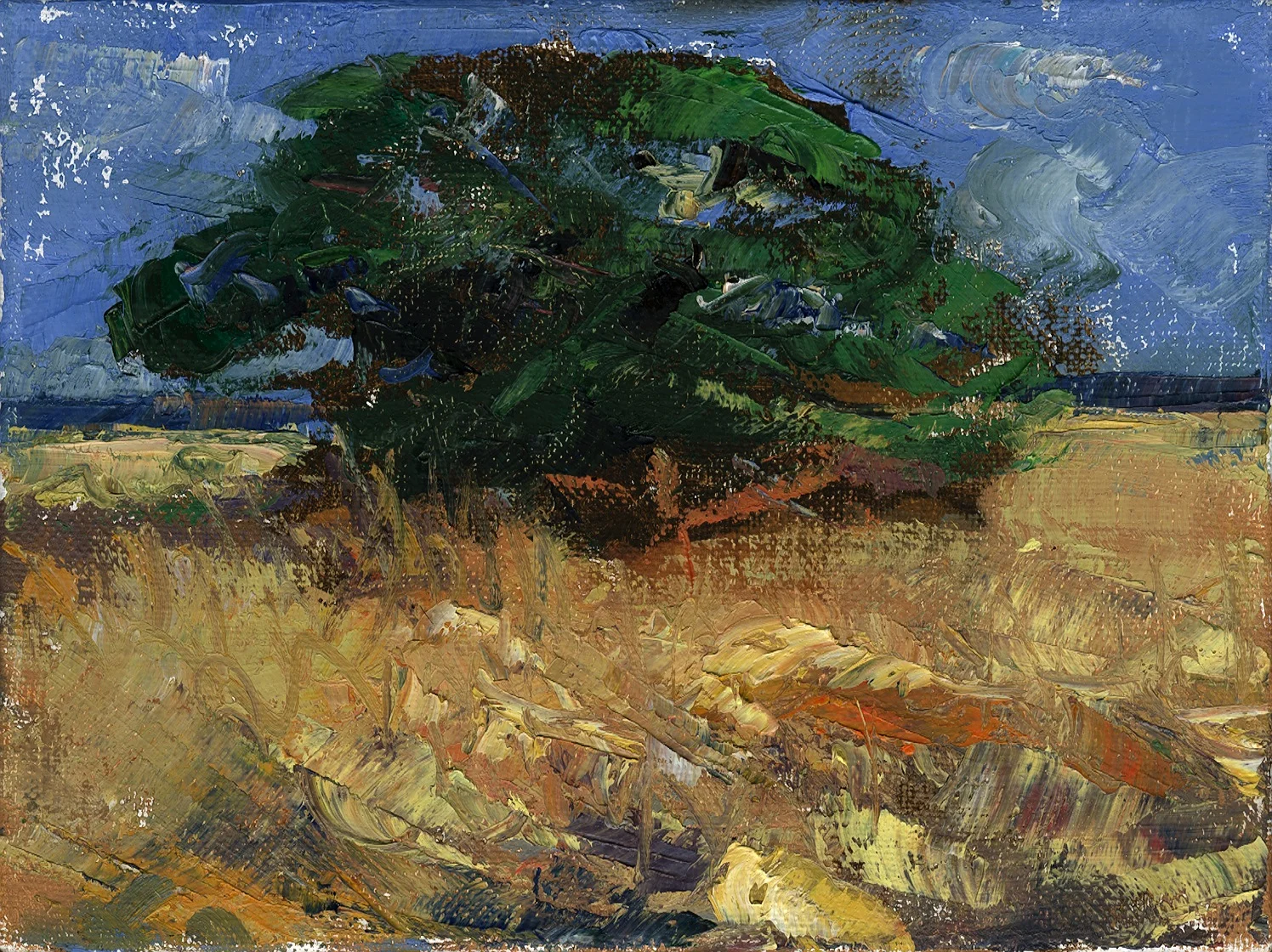 Myakka Tree