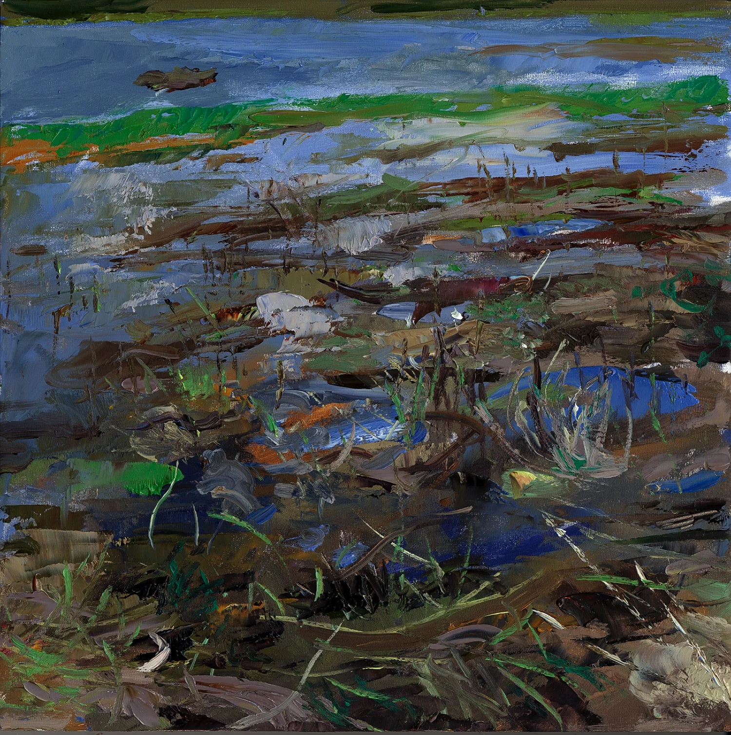 New Landscape 029.jpg