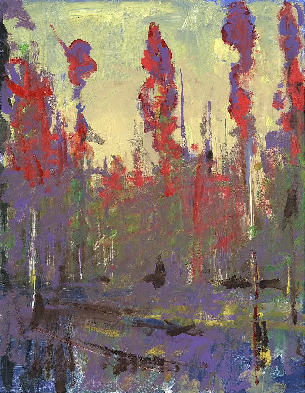 Cypress beginning.jpg