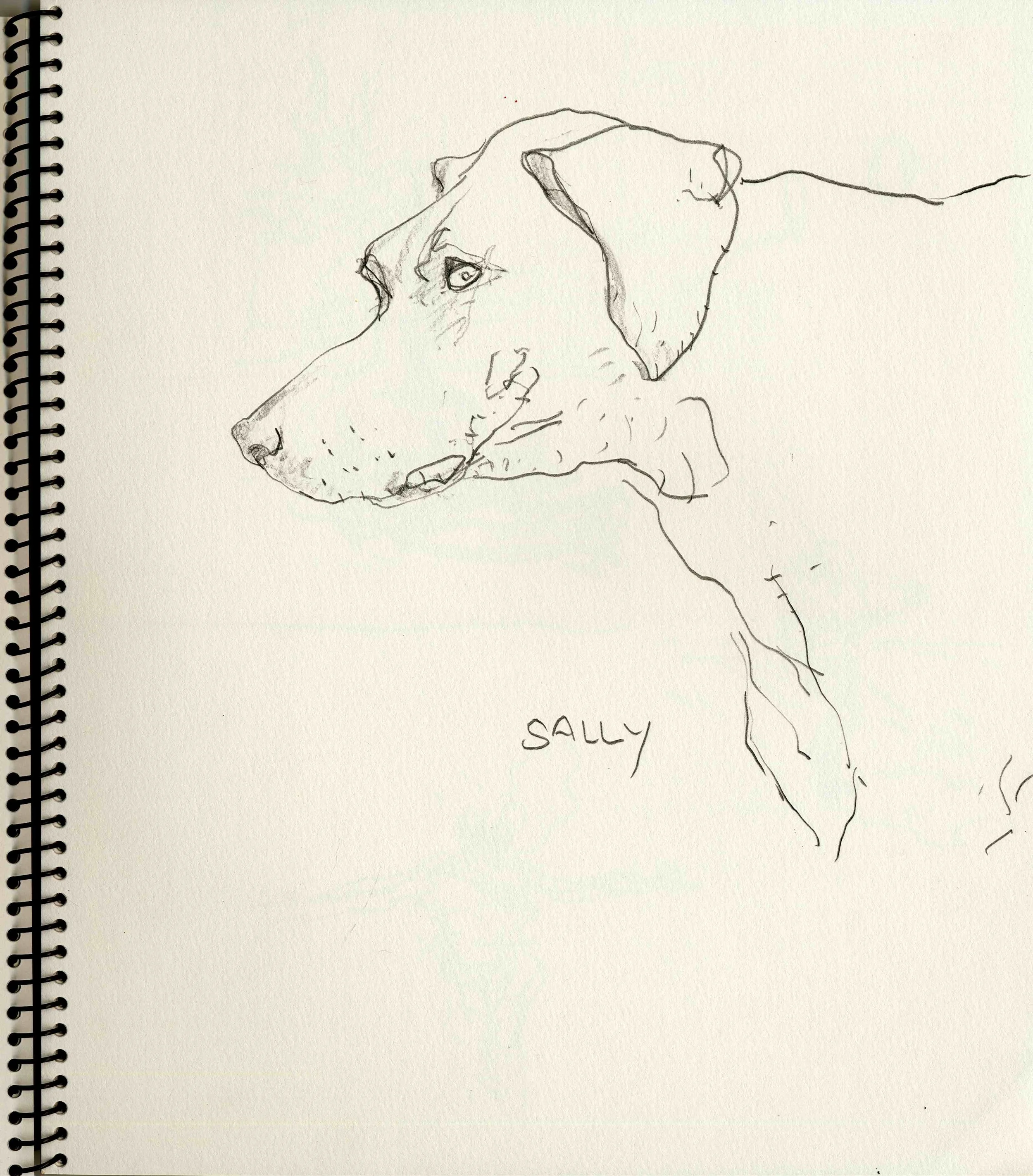 Sally.jpg