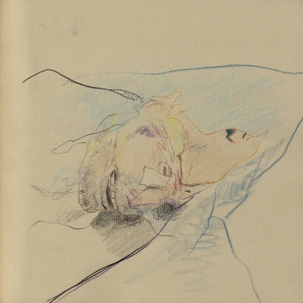 Disection 09.jpg