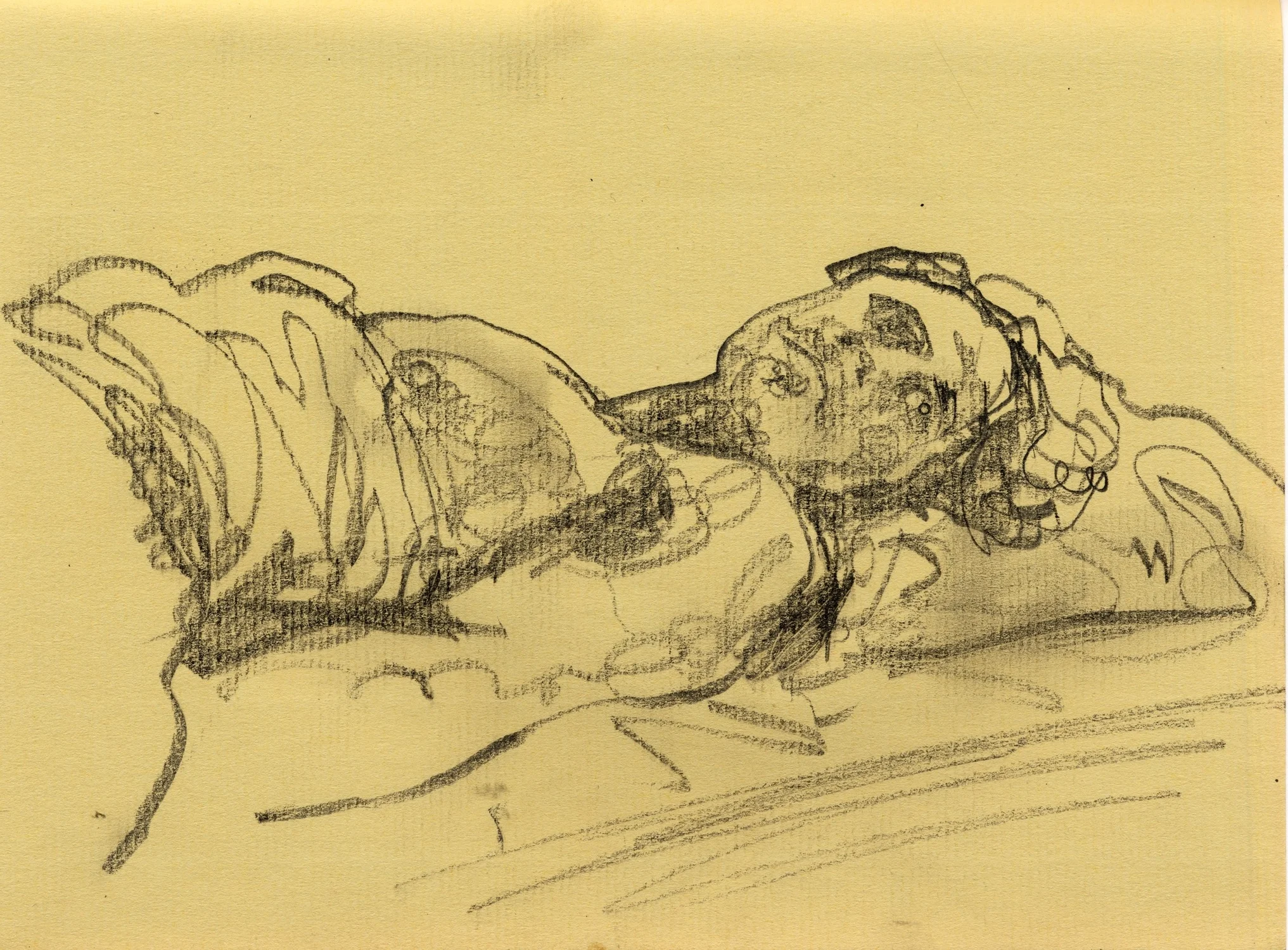 Exacompta 01-2013 037.jpg