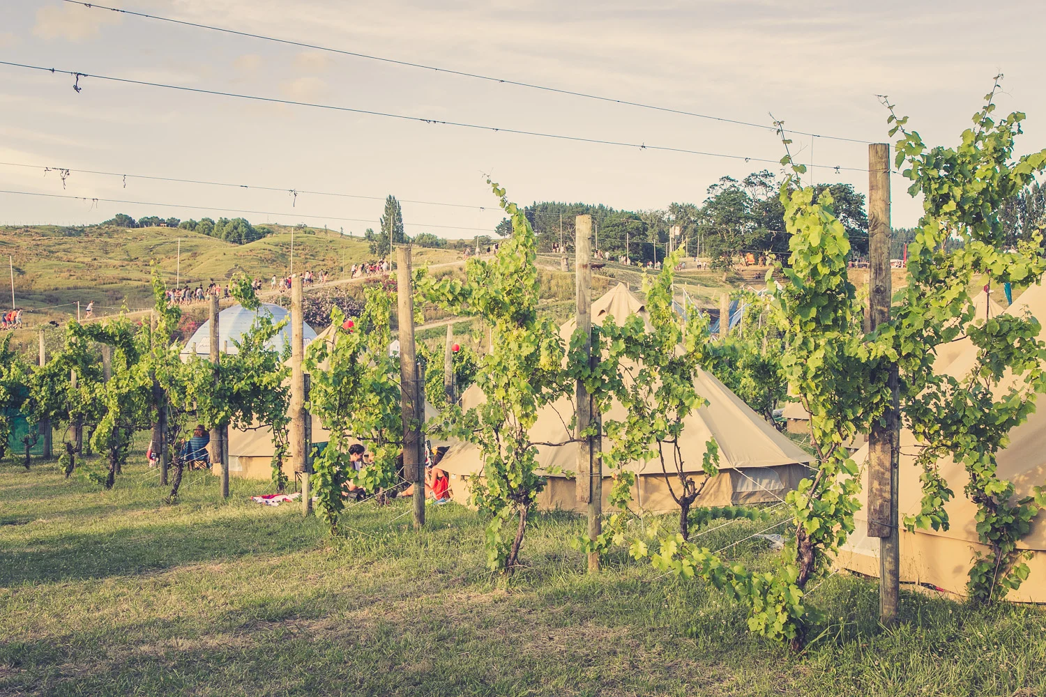 Wildernest R&V 2012 by Paul Hoelen Photography_27A1739.jpg