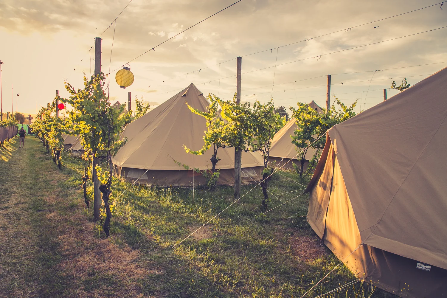 Wildernest R&V 2012 by Paul Hoelen Photography_27A1799.jpg