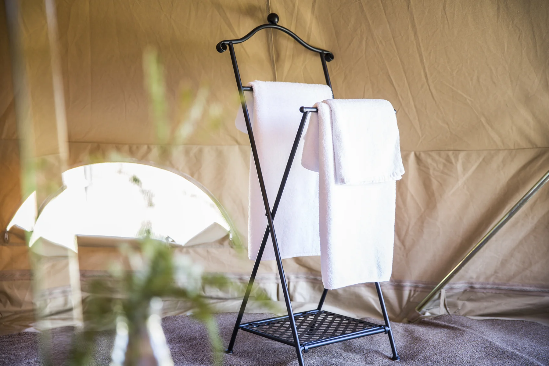  Glamping experience     scroll down   