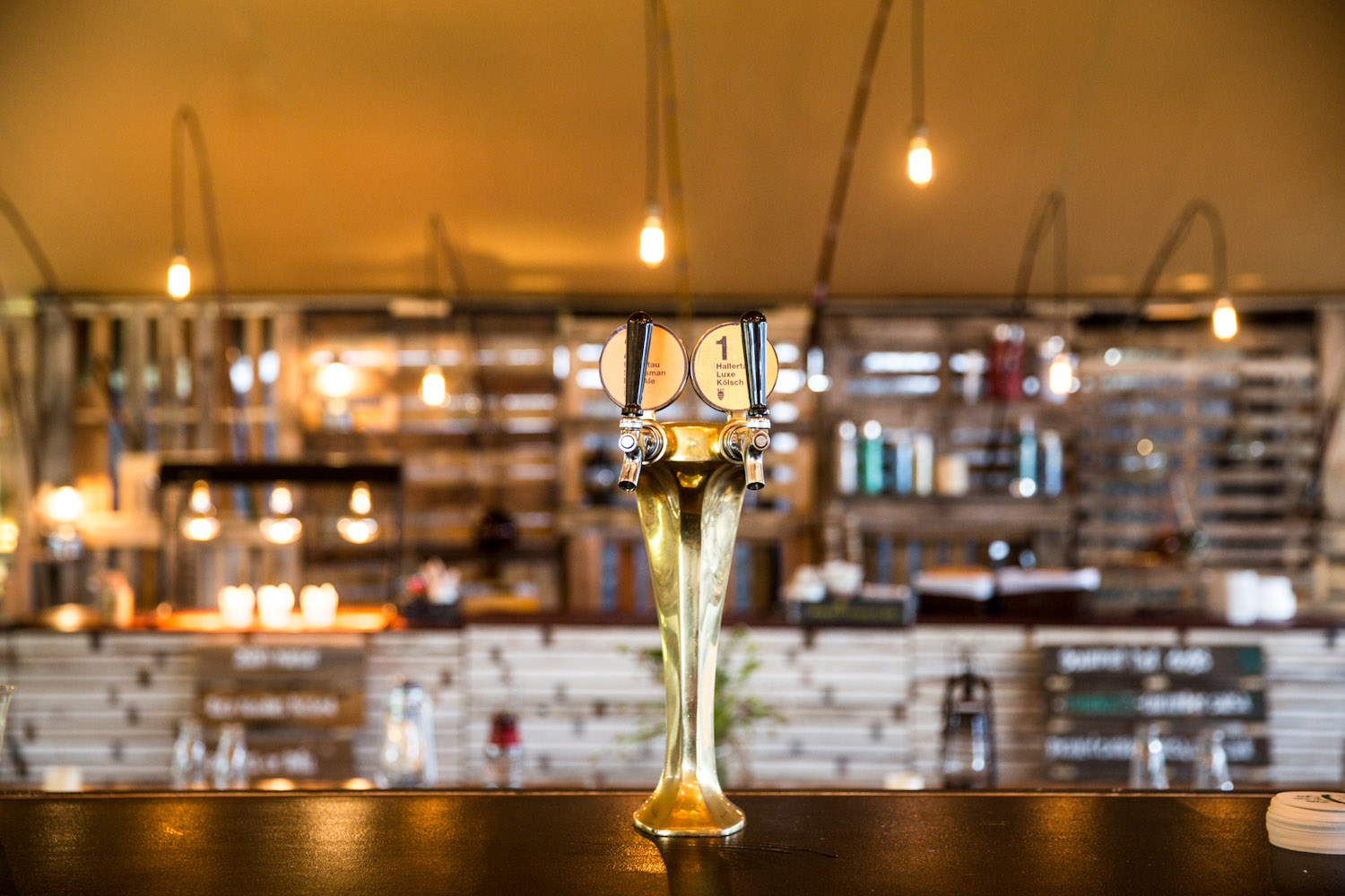   pop up parties     scroll down   