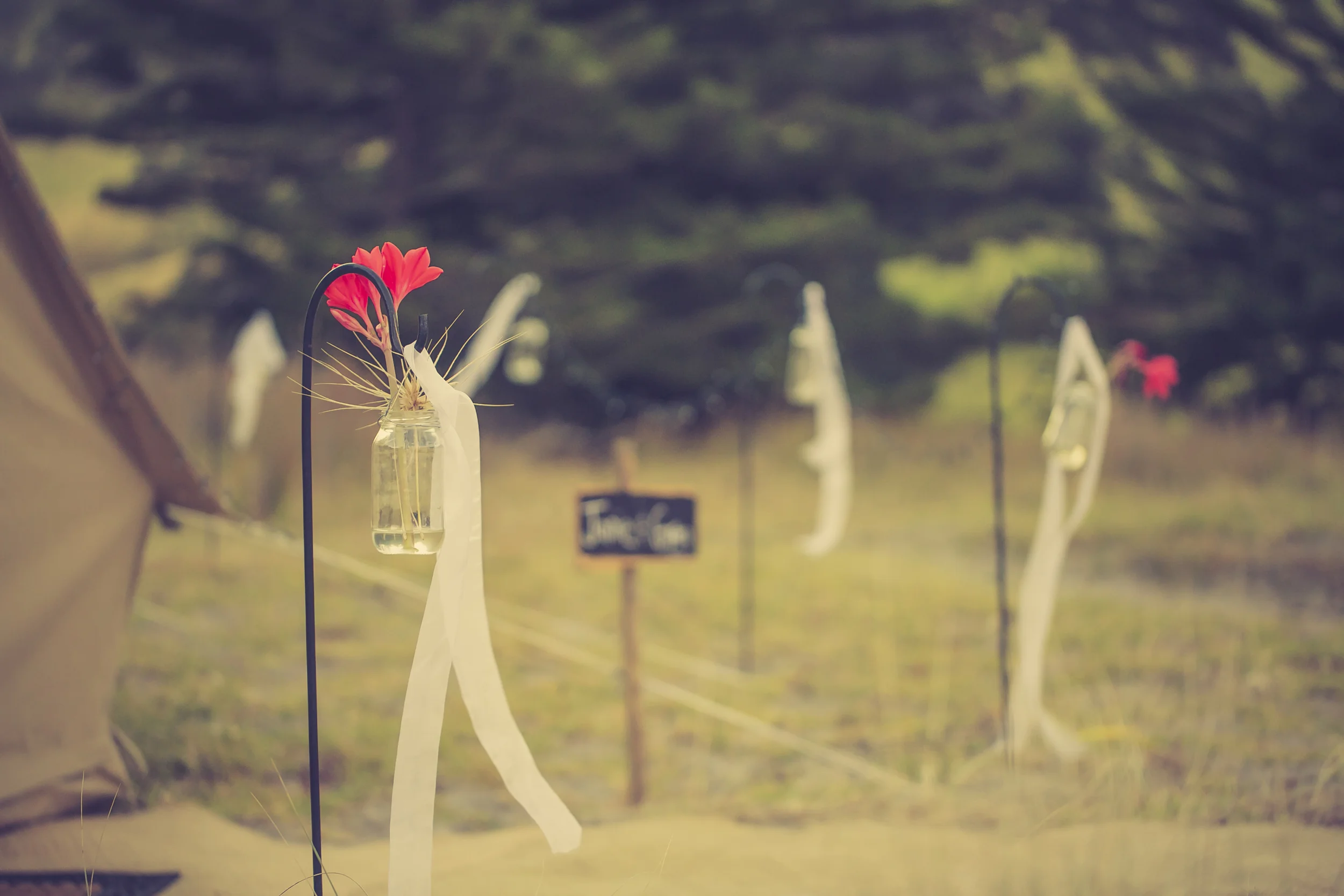   WEDDINGS     scroll down   