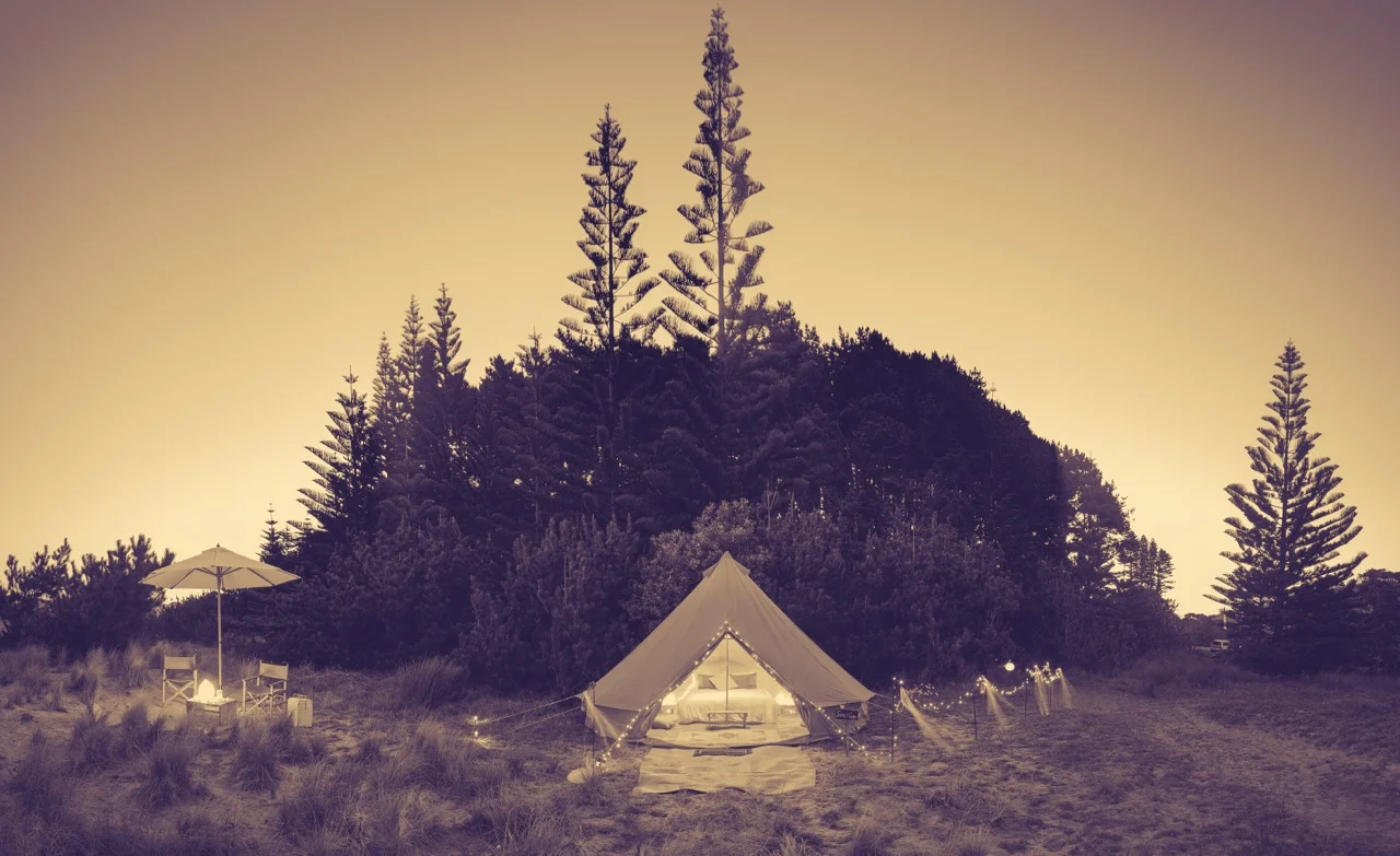   WEDDINGS     scroll down   