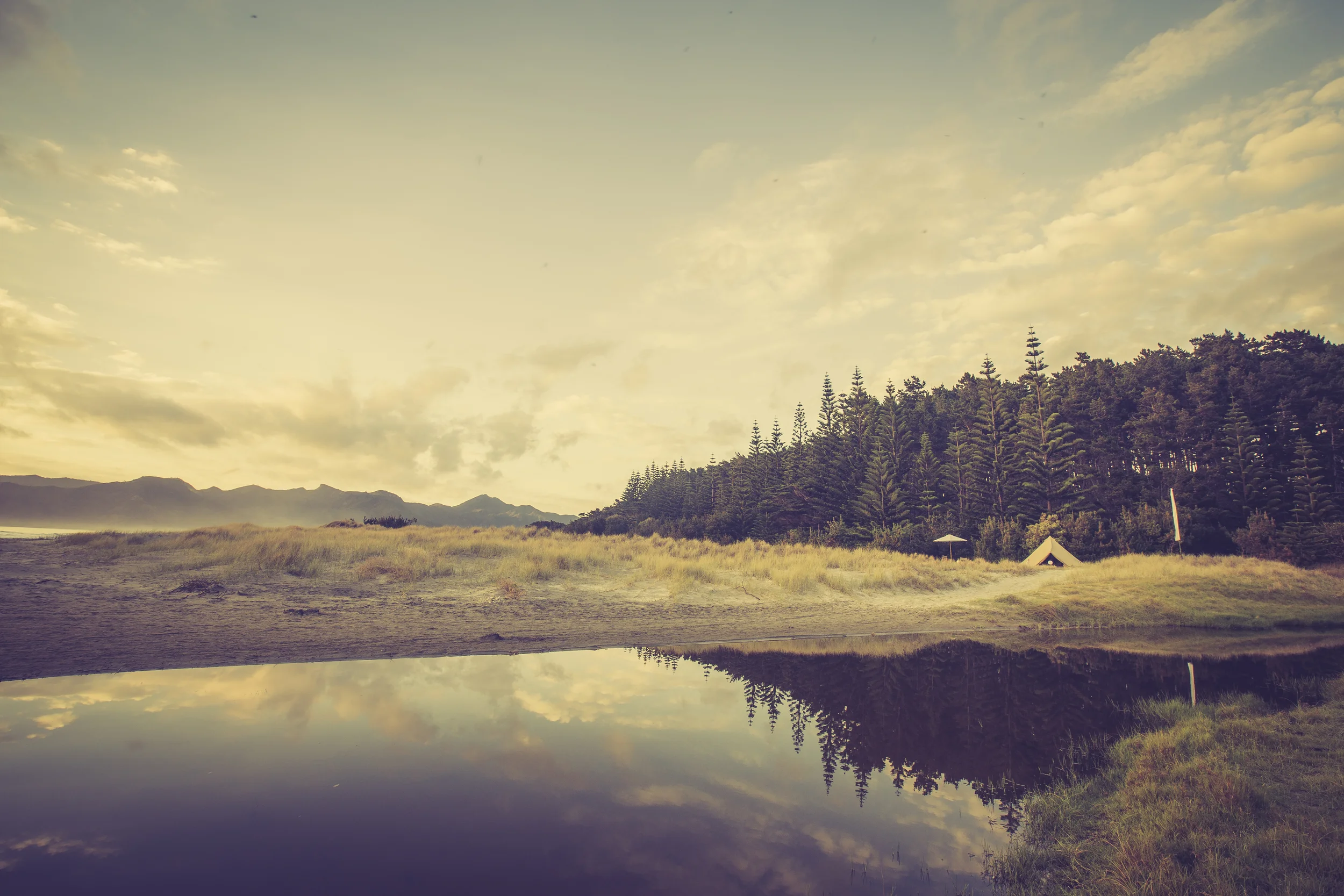   WEDDINGS     scroll down   