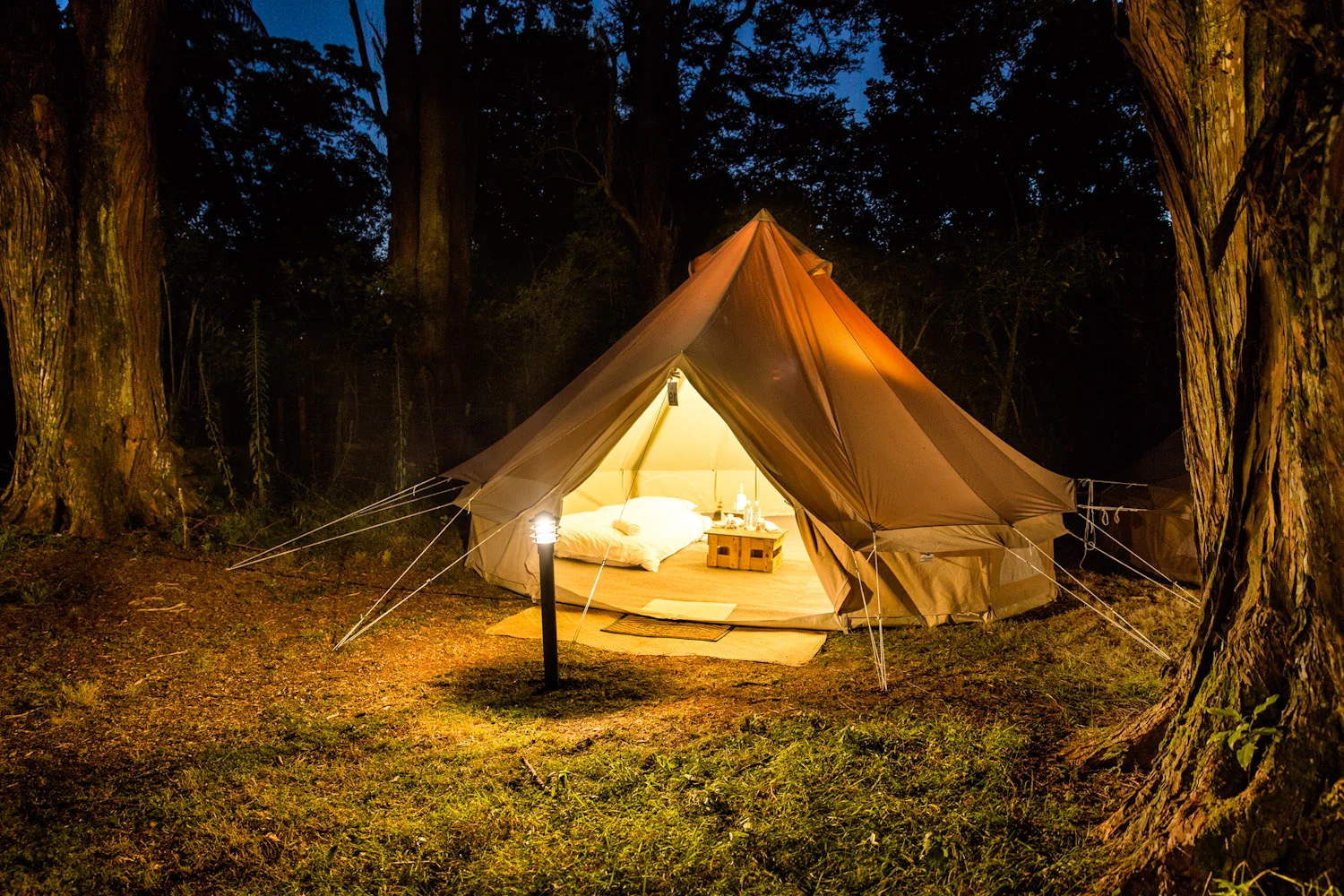   Glamping experience     scroll down   