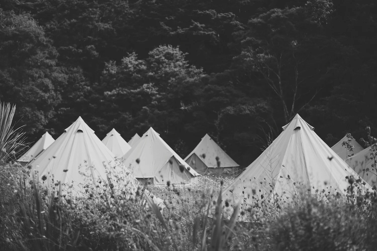 KATE & LIAMS - NORDICA-35.jpg