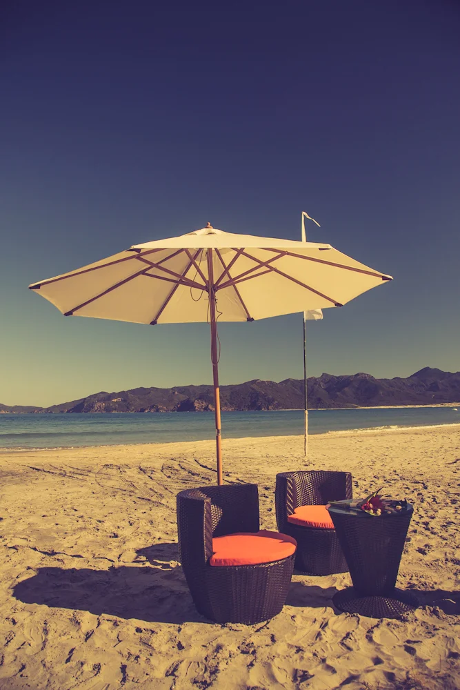 Wildernest Okiwi - Ceremony Setup-1.jpg