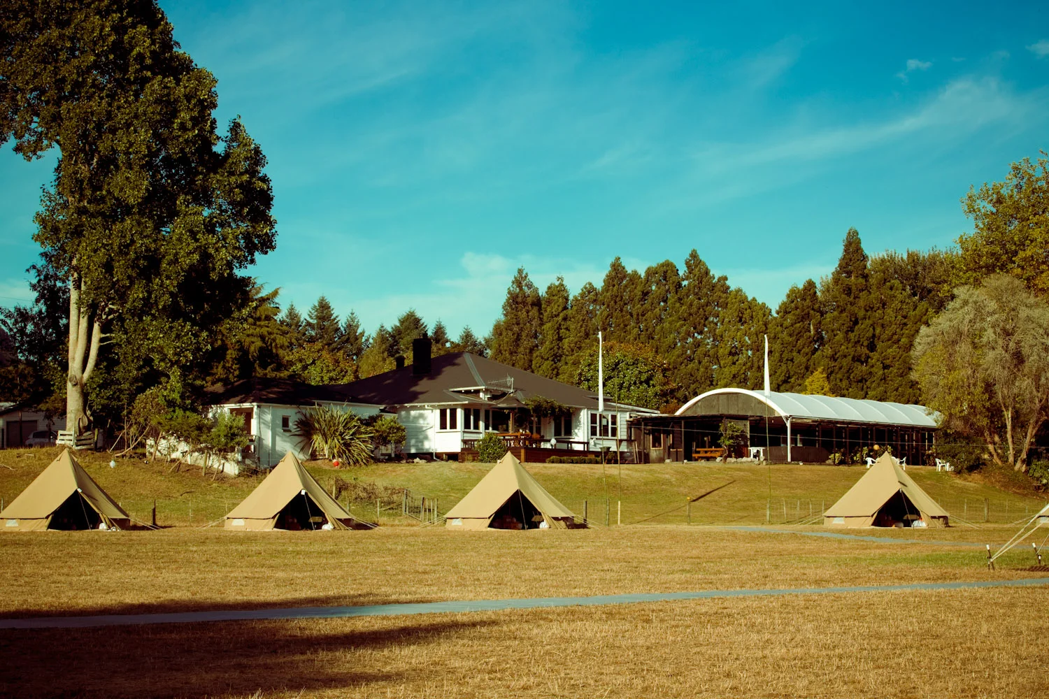 AGRODOME SSSized-22.jpg