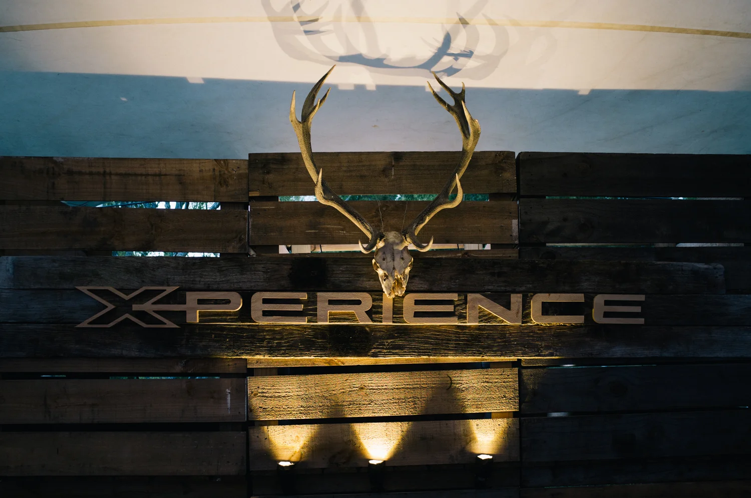 150101-Wildernest-40.jpg