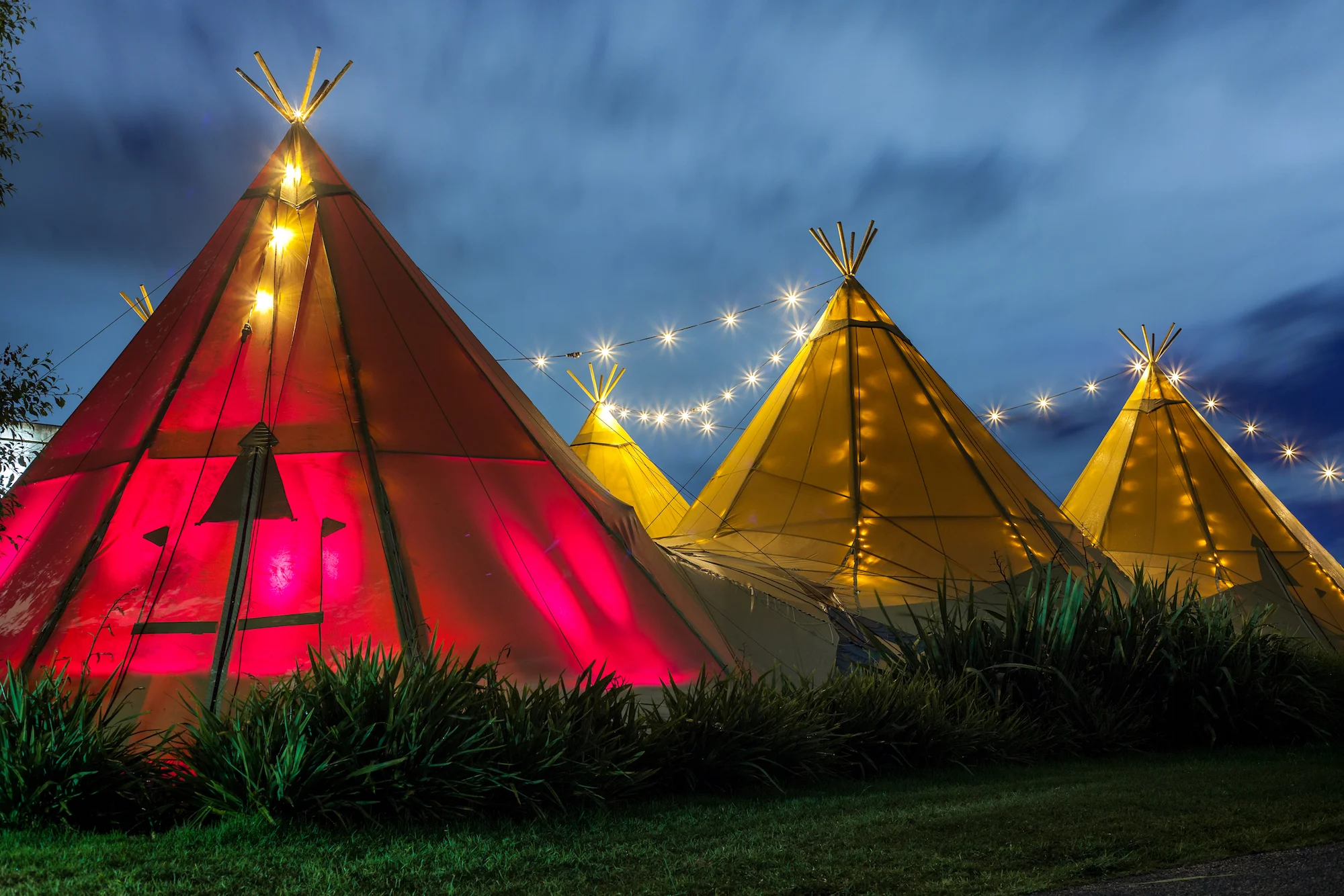 Wildernest (29).jpg