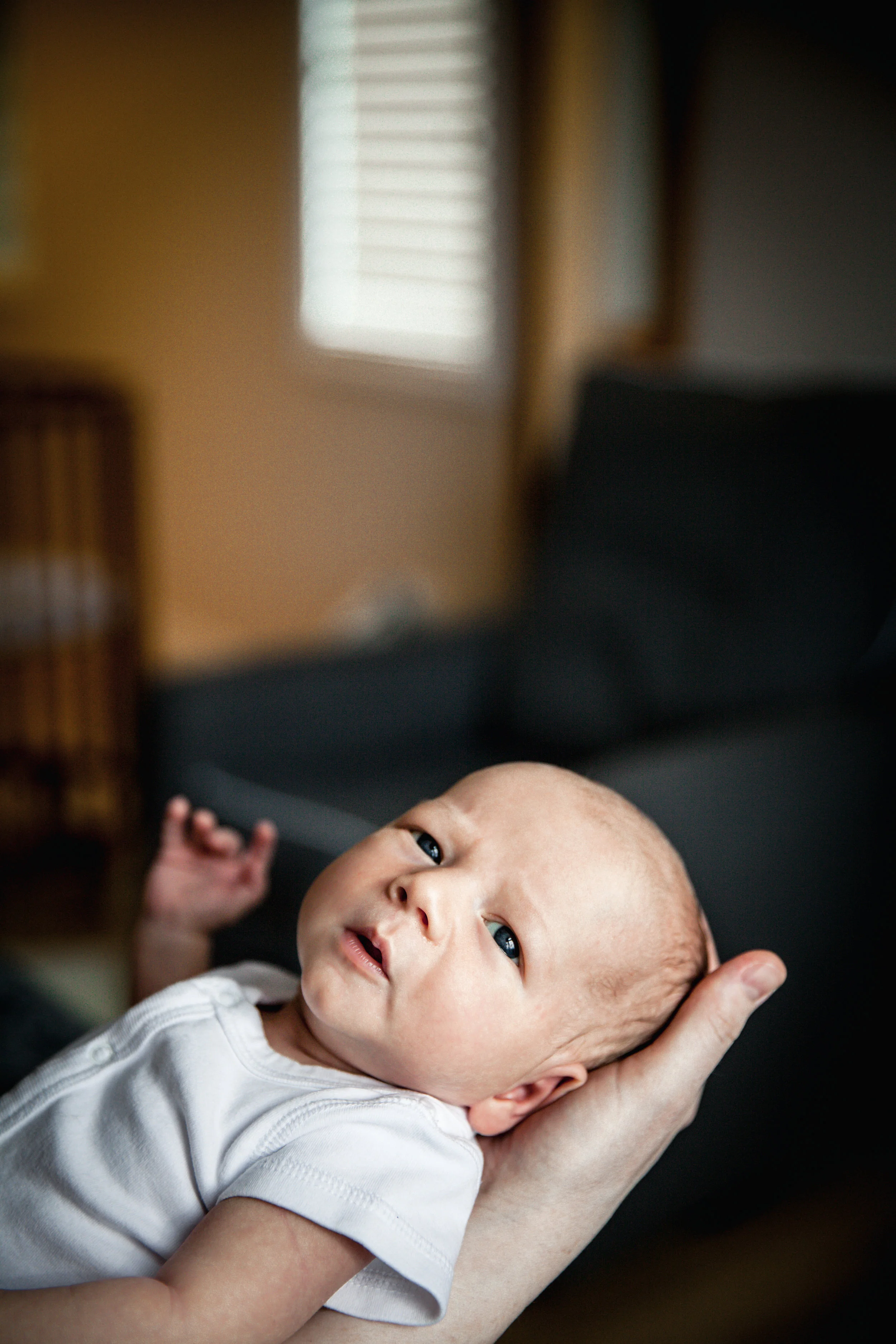 _MG_1336.jpg