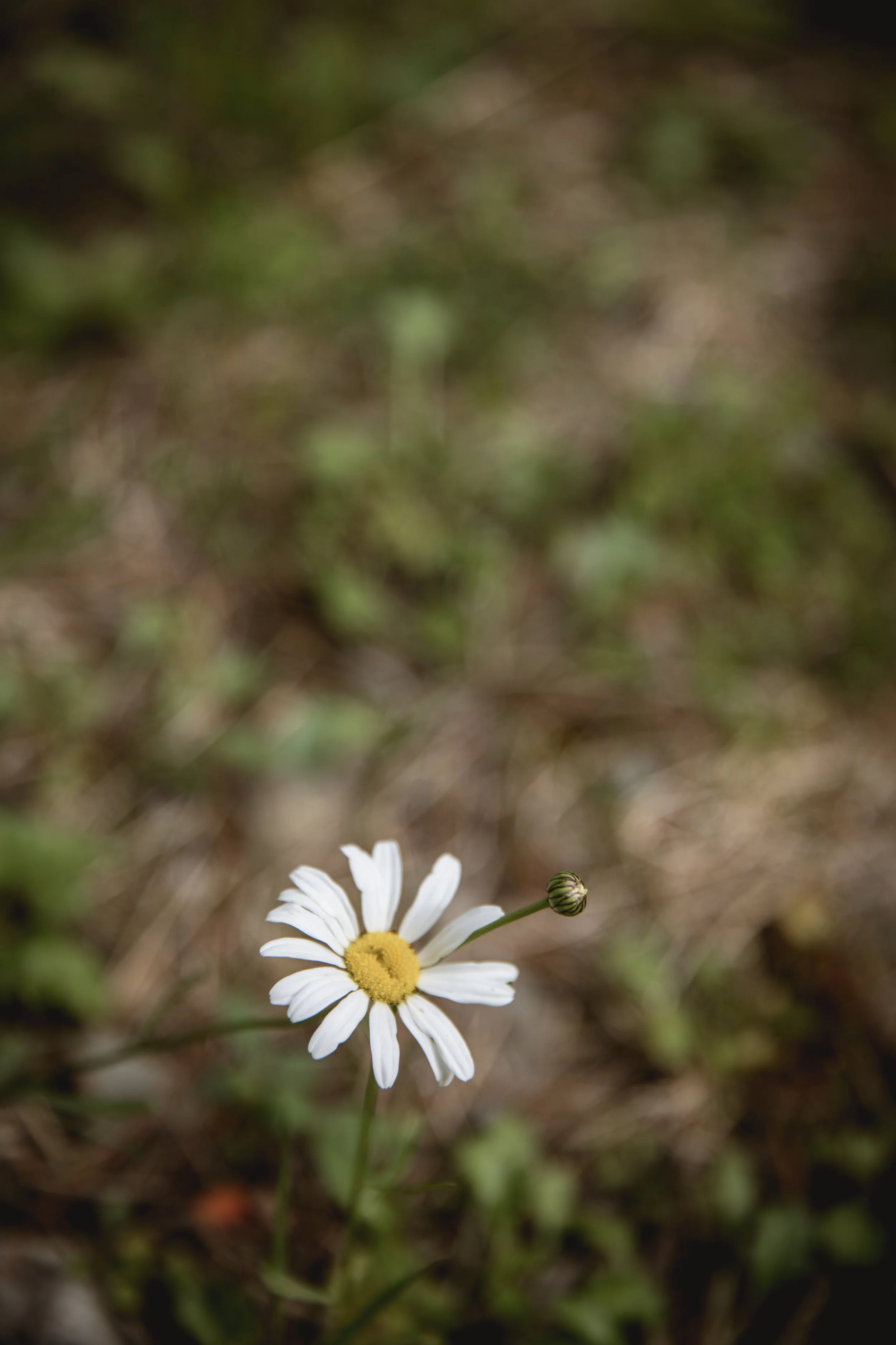 0J7A0048.jpg