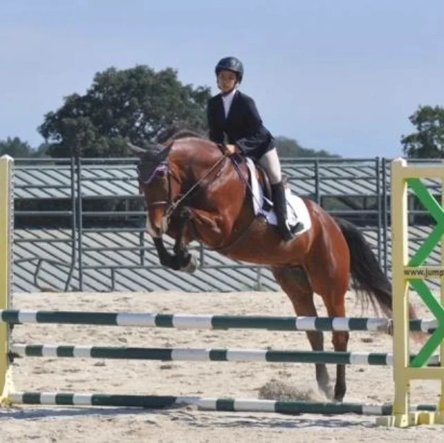 Toffee and Amy in the .70m Jumpers. Photo by Maureen Dollente.