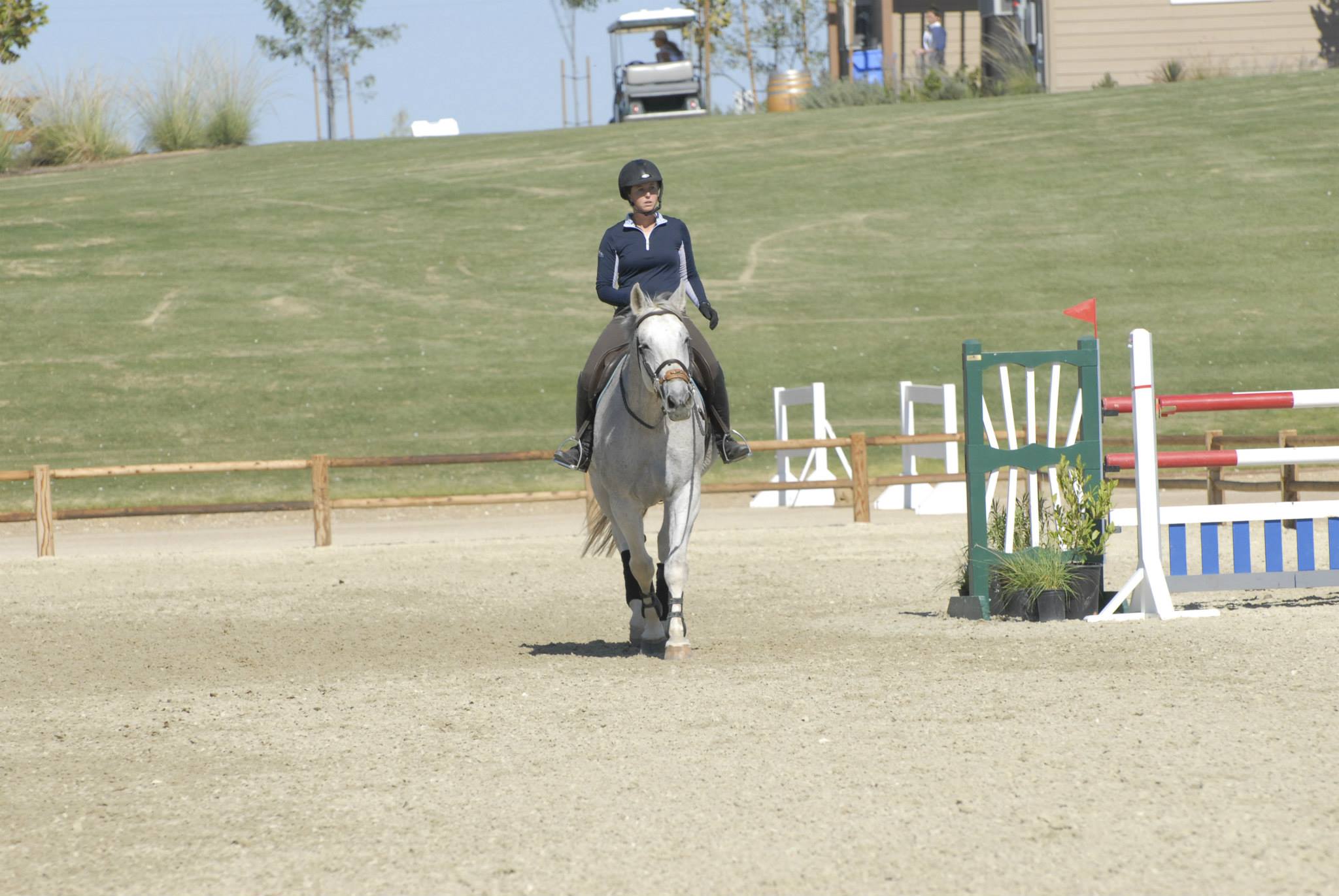 This is what a happy horse looks like after a job well done.