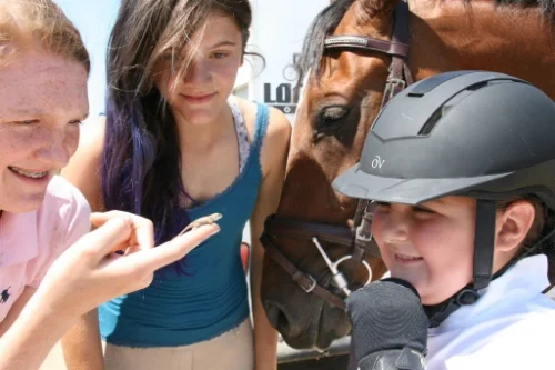 Sometimes the most interesting thing at a horse show isn't the horses at all.