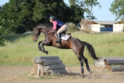 Learning to find the middle of the narrow jumps. Photo (c) Nicole Fava