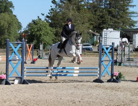 Kingston taking Stephanie around their first show together.