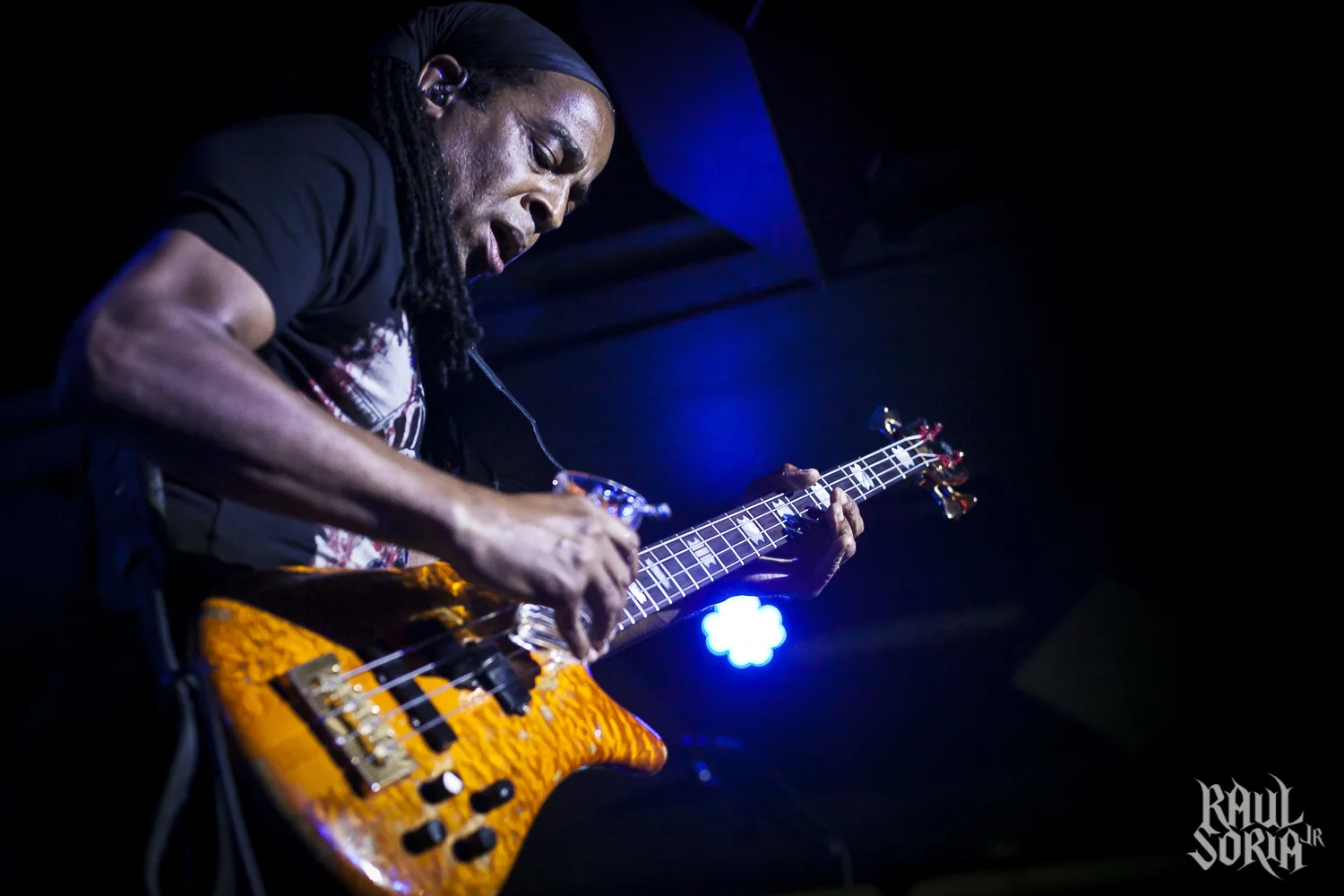 LivingColour_053017_11_web.jpg