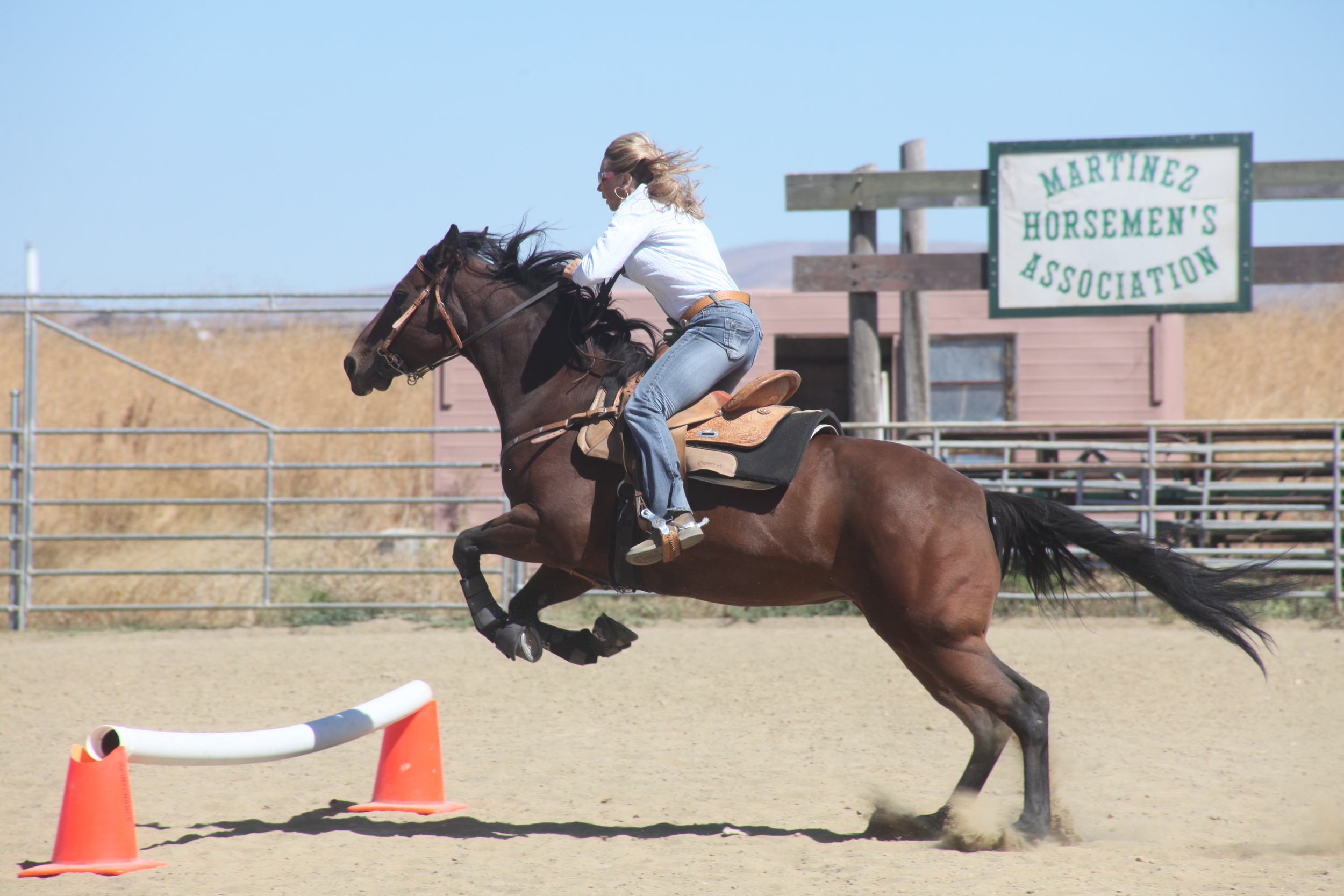 IMG_2025 copy.JPG