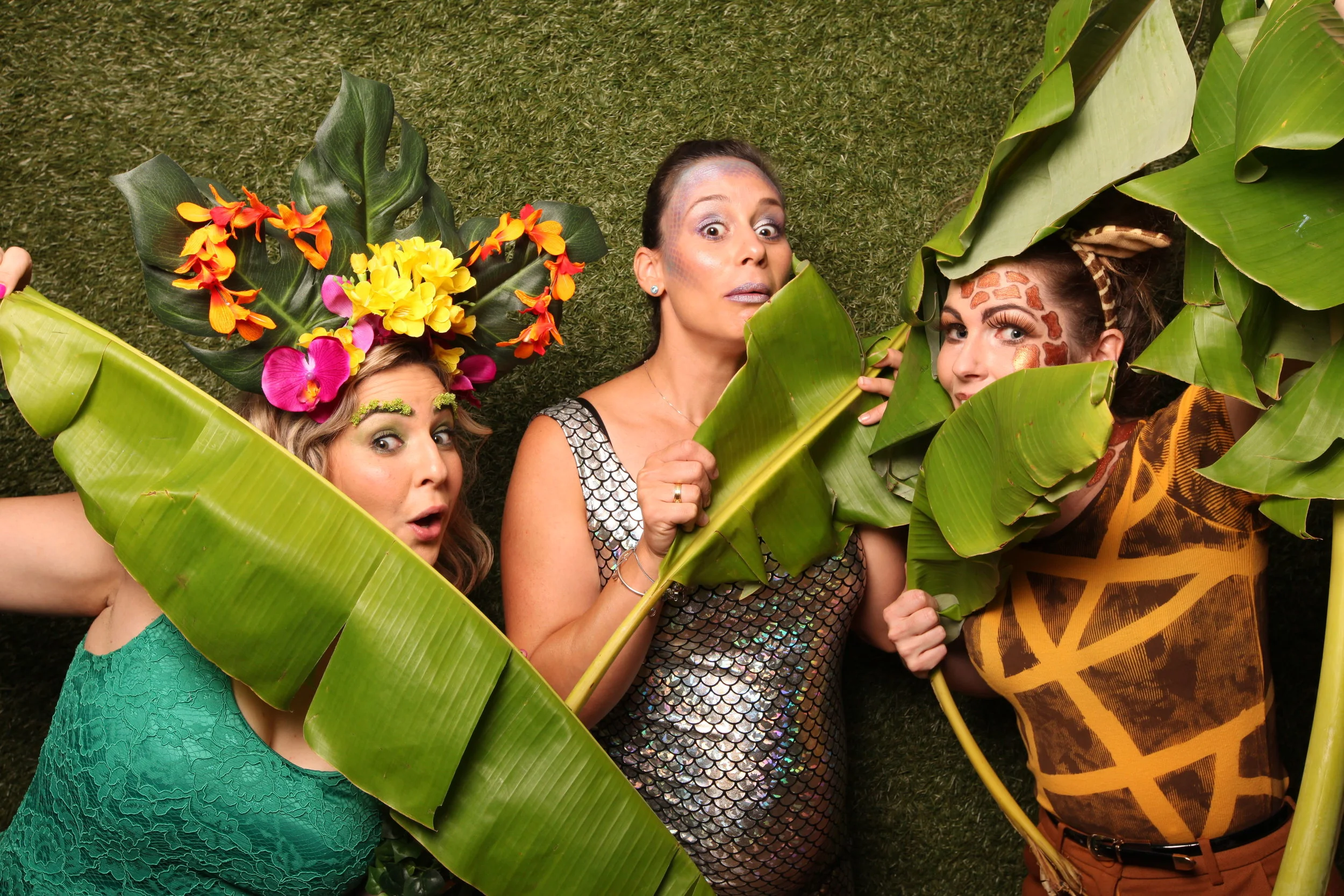 20160206_211950_156_IMG_0158 JPEG MINI.JPG