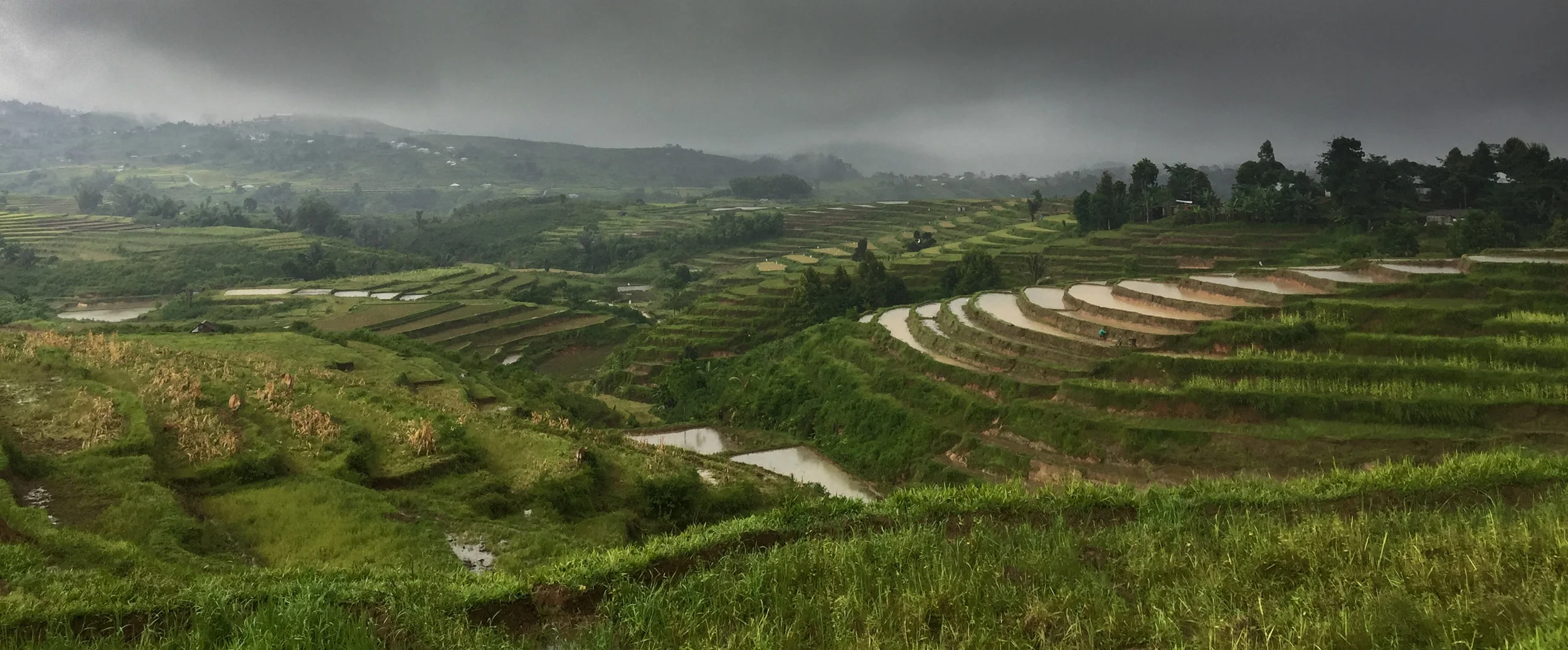 Terraced Paddy Fields.... Beautiful even in the horrific weather....