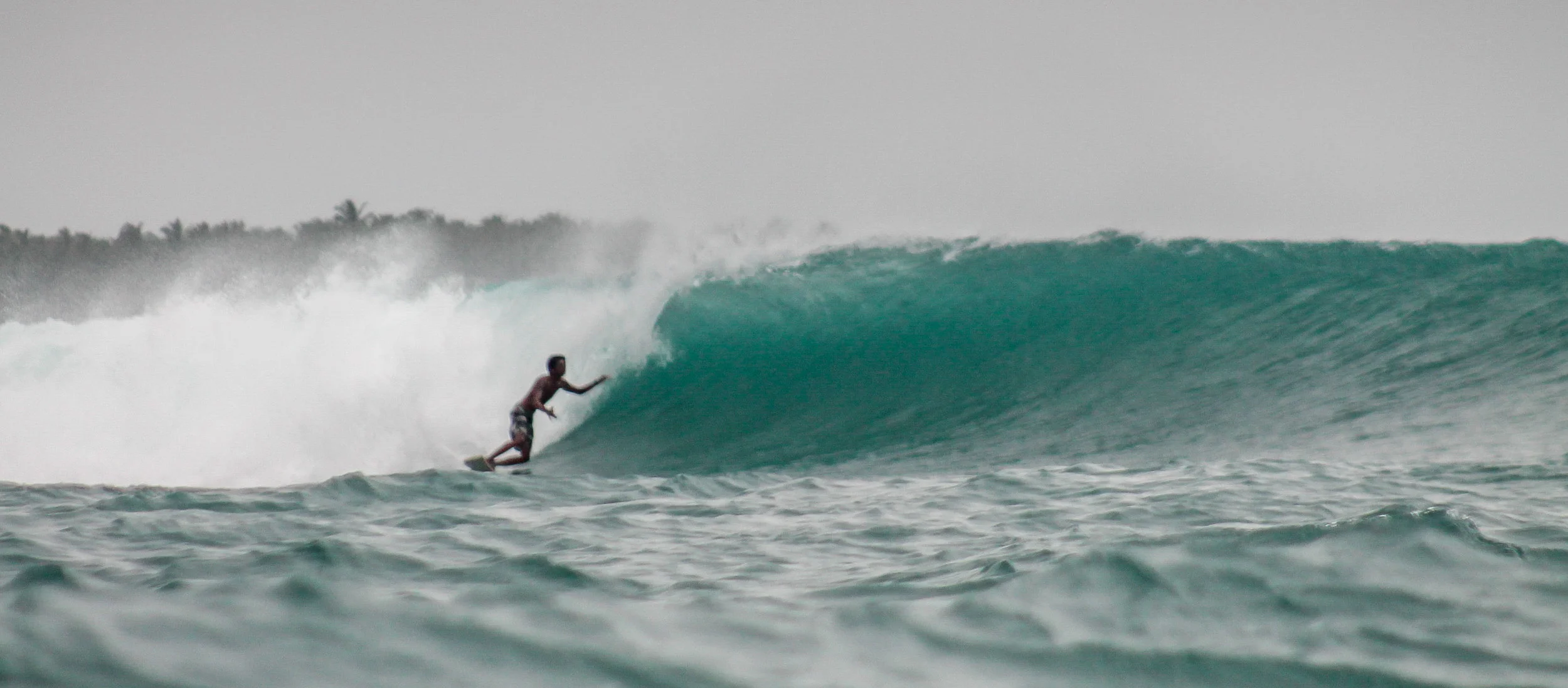 Addit looks for a barrel....