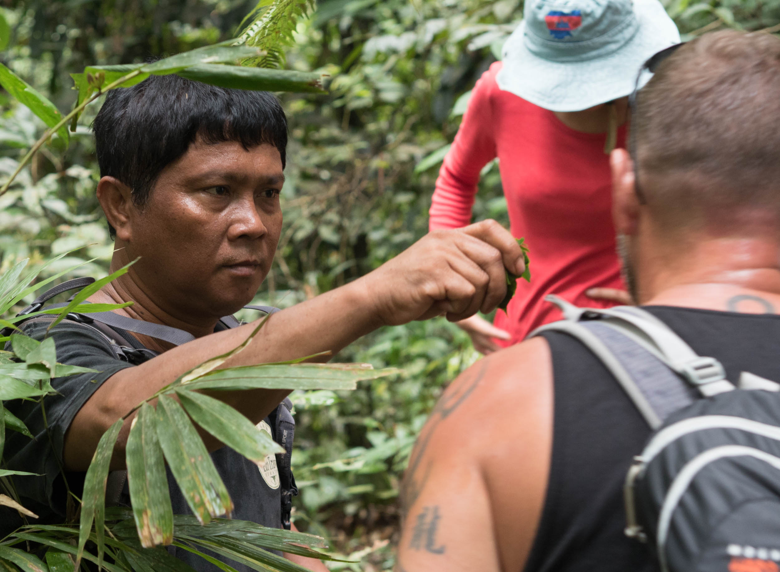 Smell my finger.... Adi shares some jungle knowledge.